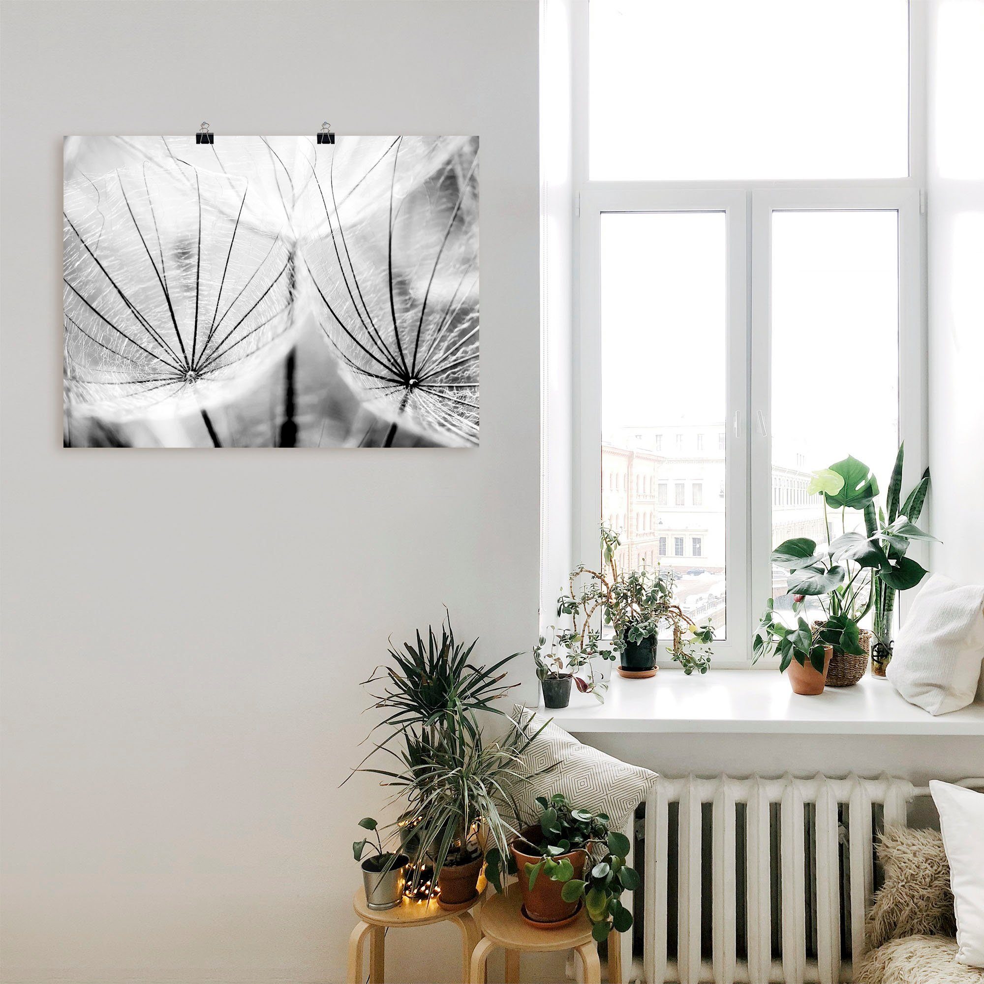 Artland Wandbild Pusteblume in schwarzweiß, Blumen (1 St), als Leinwandbild, Poster in verschied. Größen