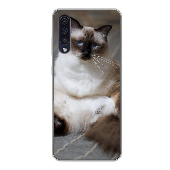 MuchoWow Handyhülle Katze - Fell - Braun Handyhülle Samsung Galaxy A50 Smartphone-Bumper Print Handy