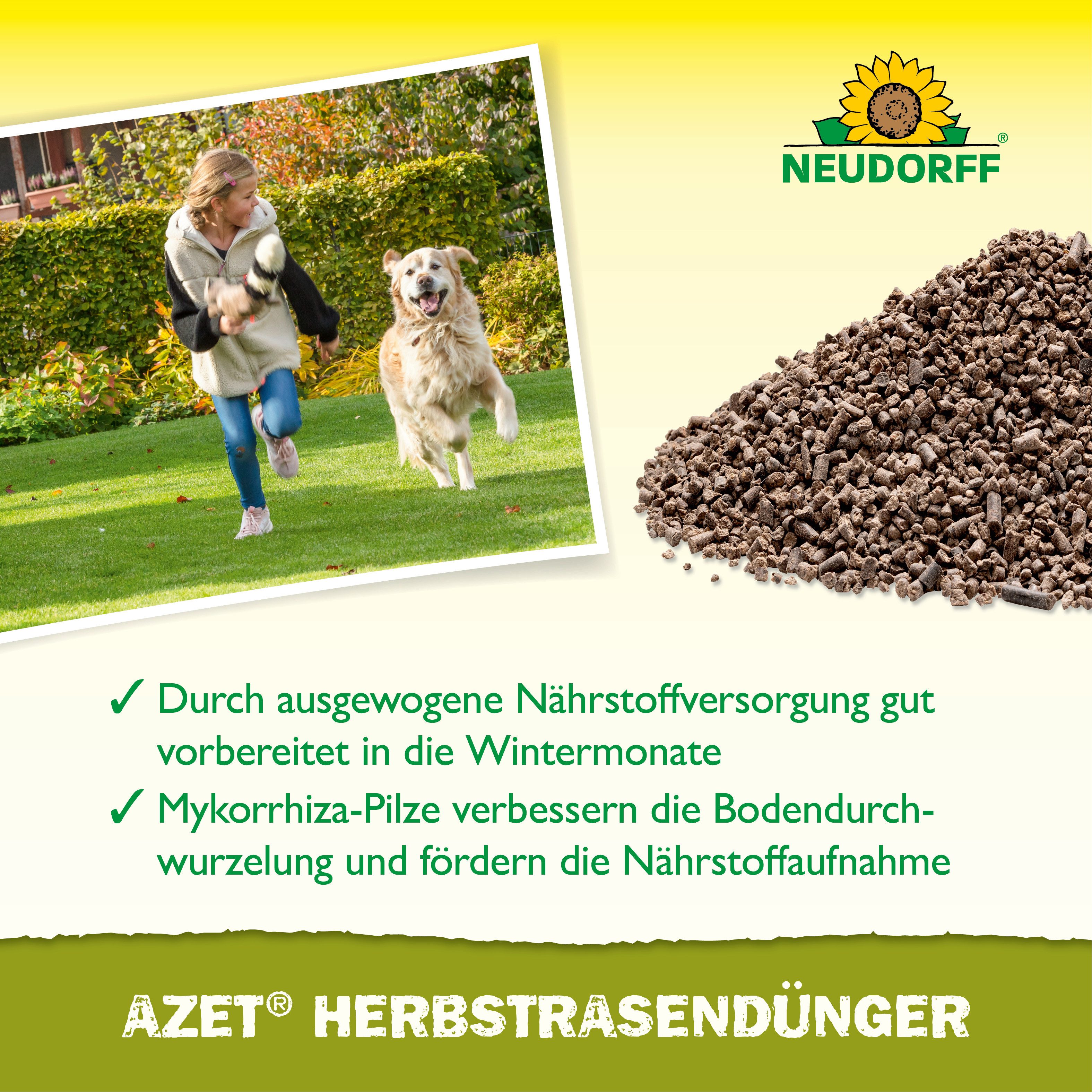 Neudorff Rasendünger Azet HerbstRasenDünger 2,5 kg, sorgt für einen dichten, kräftigen Rasen im Frühjahr, Mikroorganismen beleben den Rasen und beugen Rasenfilz vor