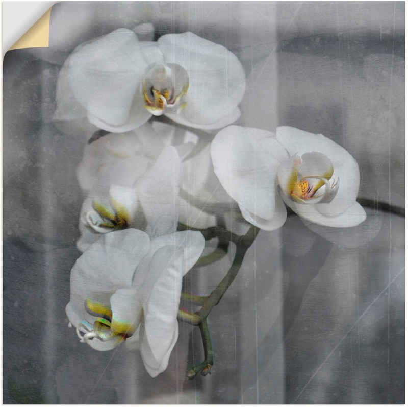 Artland Wandbild Weisse Orchideen - white Orchid, Blumen (1 St), als Leinwandbild, Wandaufkleber in verschied. Größen