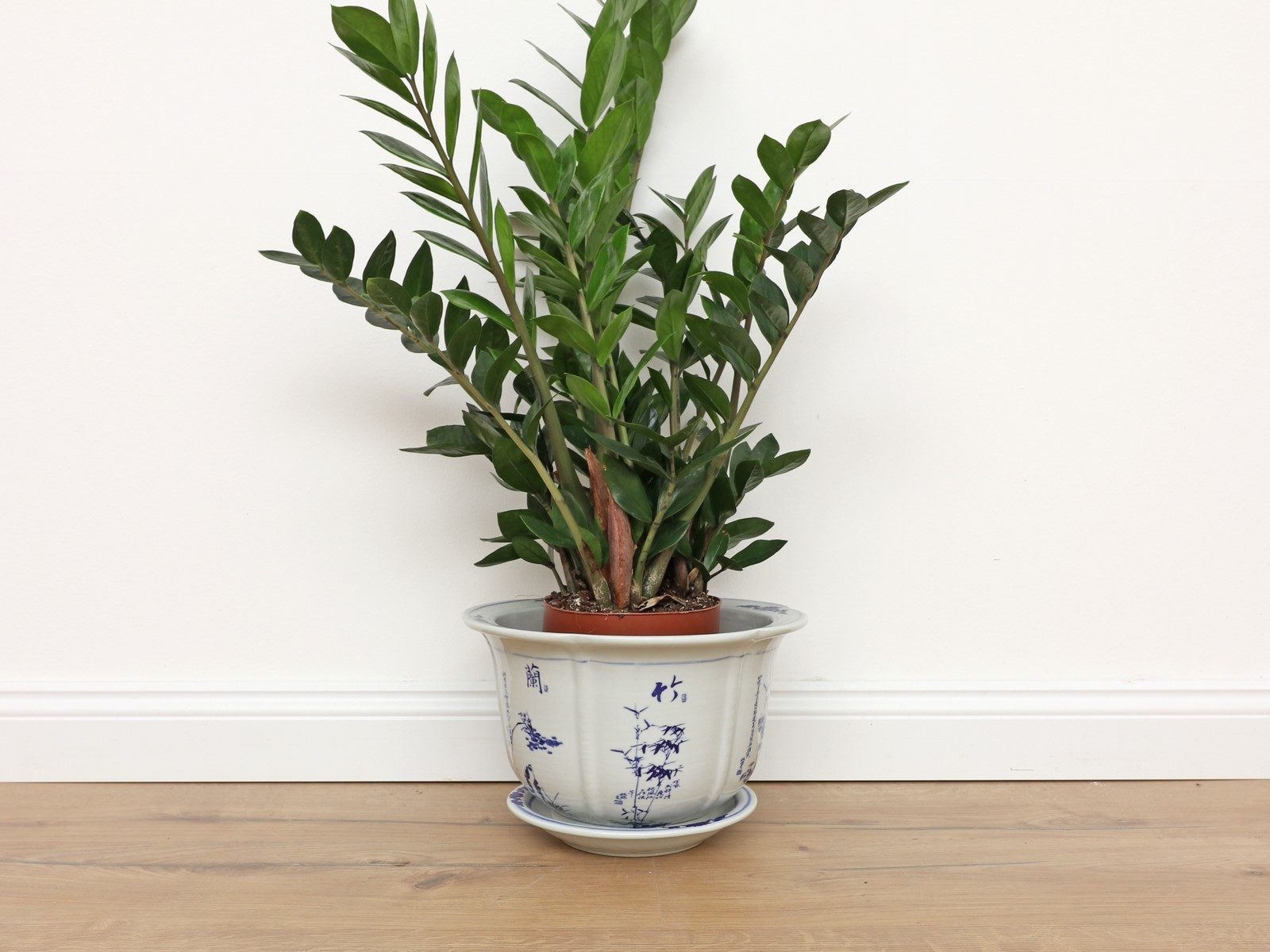 Yajutang Blumentopf