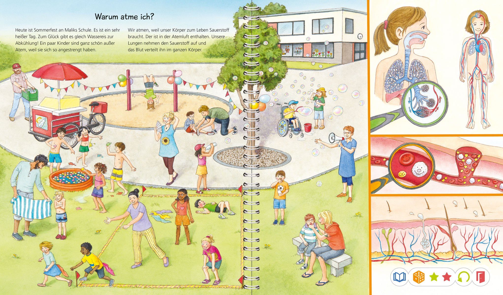 Ravensburger Kinderbuch tiptoi® Wieso? Weshalb? Warum? Alles über den Körper, Made in Europe