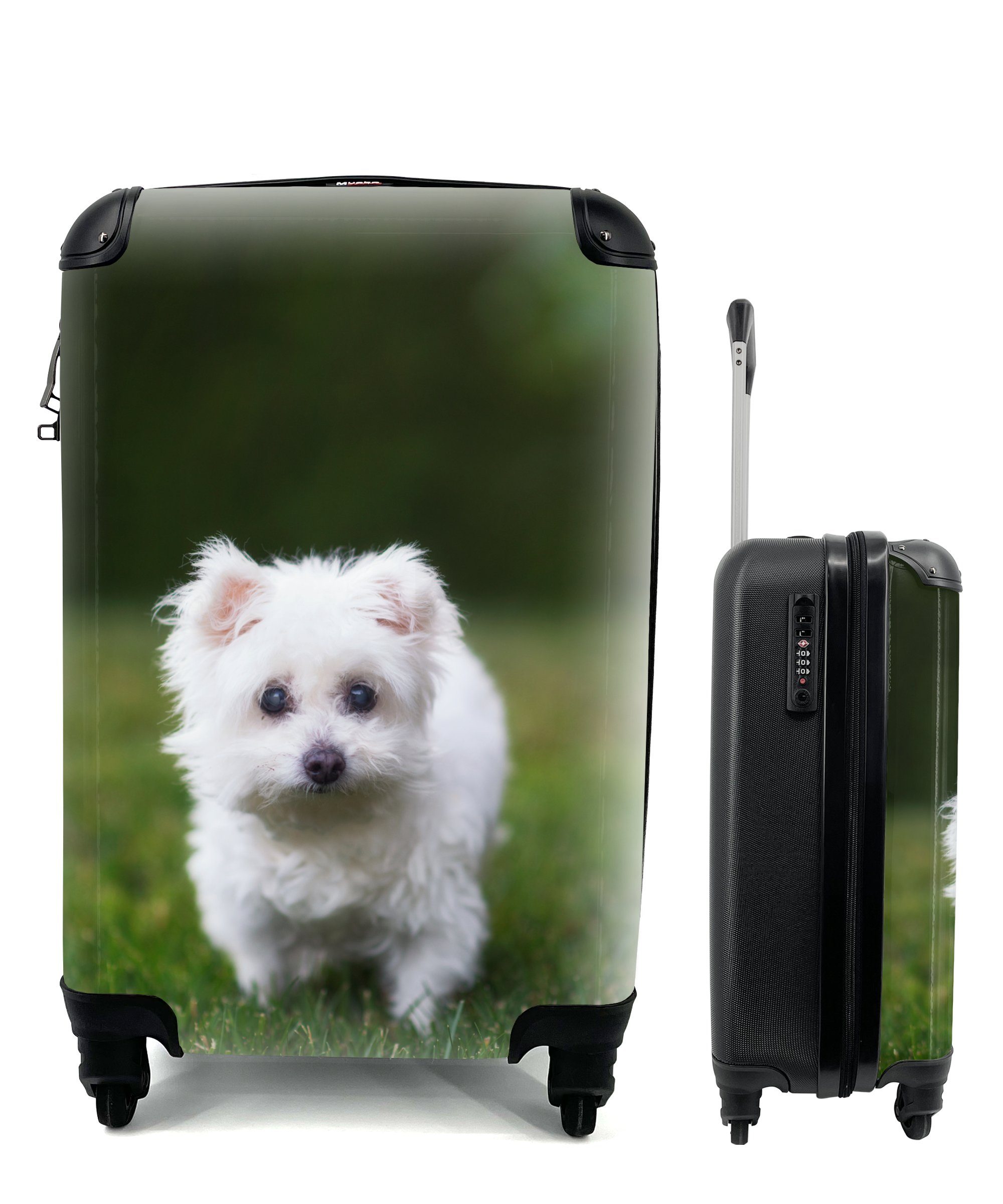 MuchoWow Handgepäckkoffer Malteser Hund auf einer Wiese, 4 Rollen, Reisetasche mit rollen, Handgepäck für Ferien, Trolley, Reisekoffer
