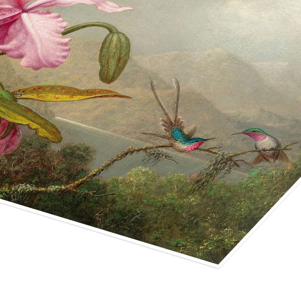 Posterlounge Wandbild Cattleya Orchidee und drei brasilianische Kolibris, Martin Johnson Heade, erhältlich als Poster, Leinwandbild, Wandsticker oder Acrylglasbild