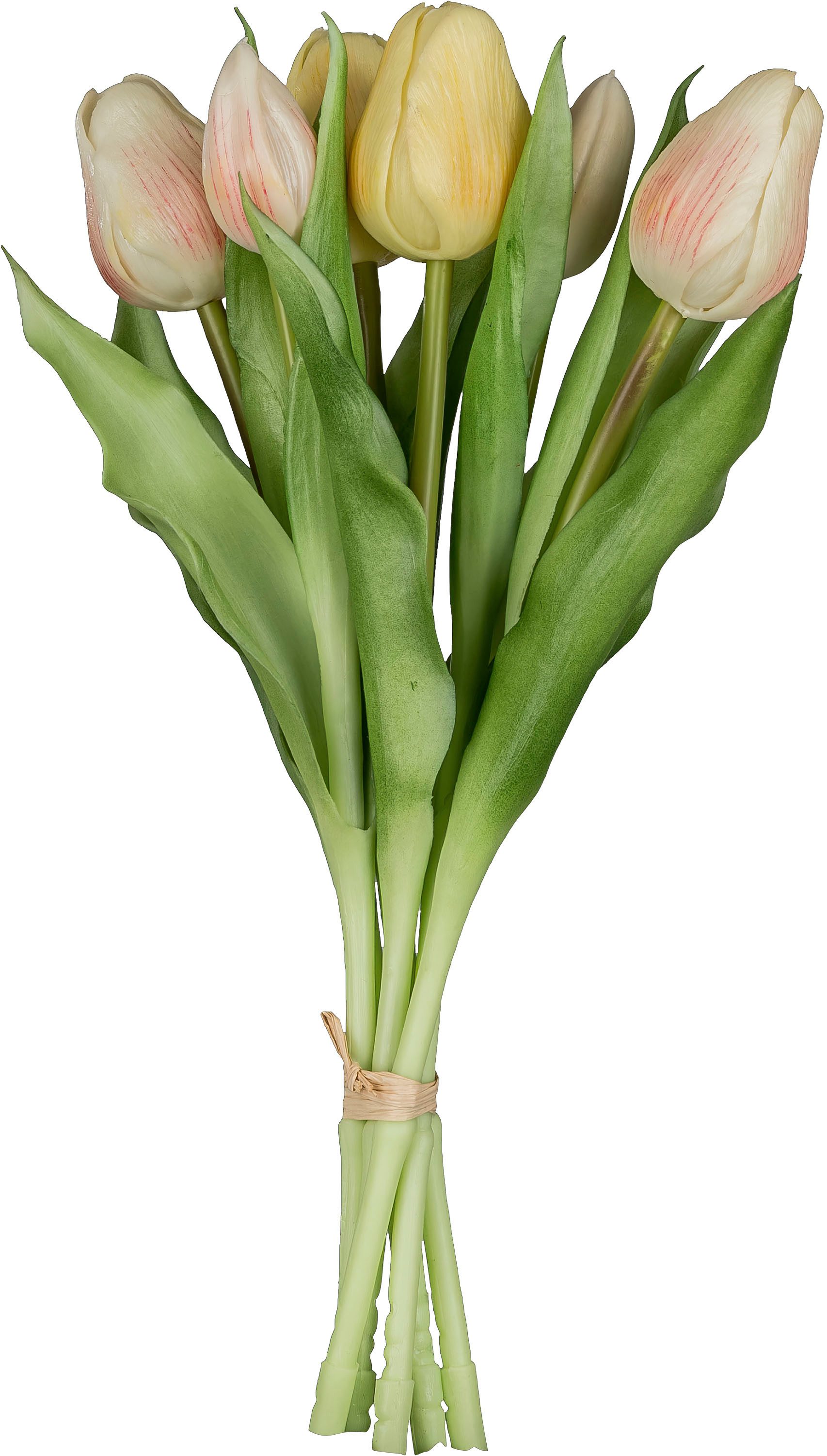 Kunsttulpe Tulpenbund, Creativ green, Höhe 32 cm, aus 6 Einzelstielen