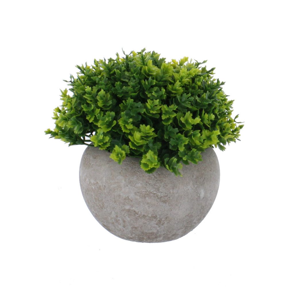 Kunstblume Grünpflanze in Topf - grün/grau - künstlich - ca. 14 x 20 cm, MI günstig online kaufen