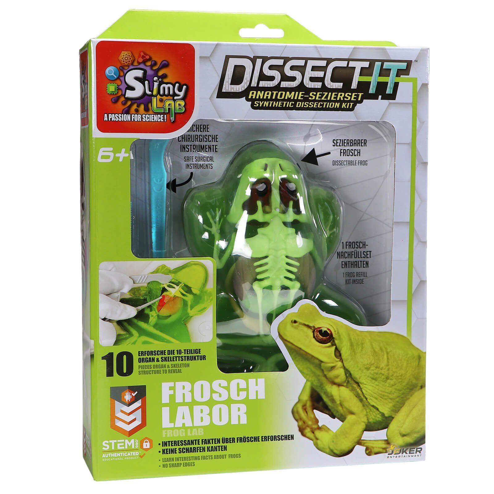 Slimy® Lernspielzeug Slimy Lab Frosch Experimentieren Forschen Sezier Schleim Labor Mint – Bild 5 von 5