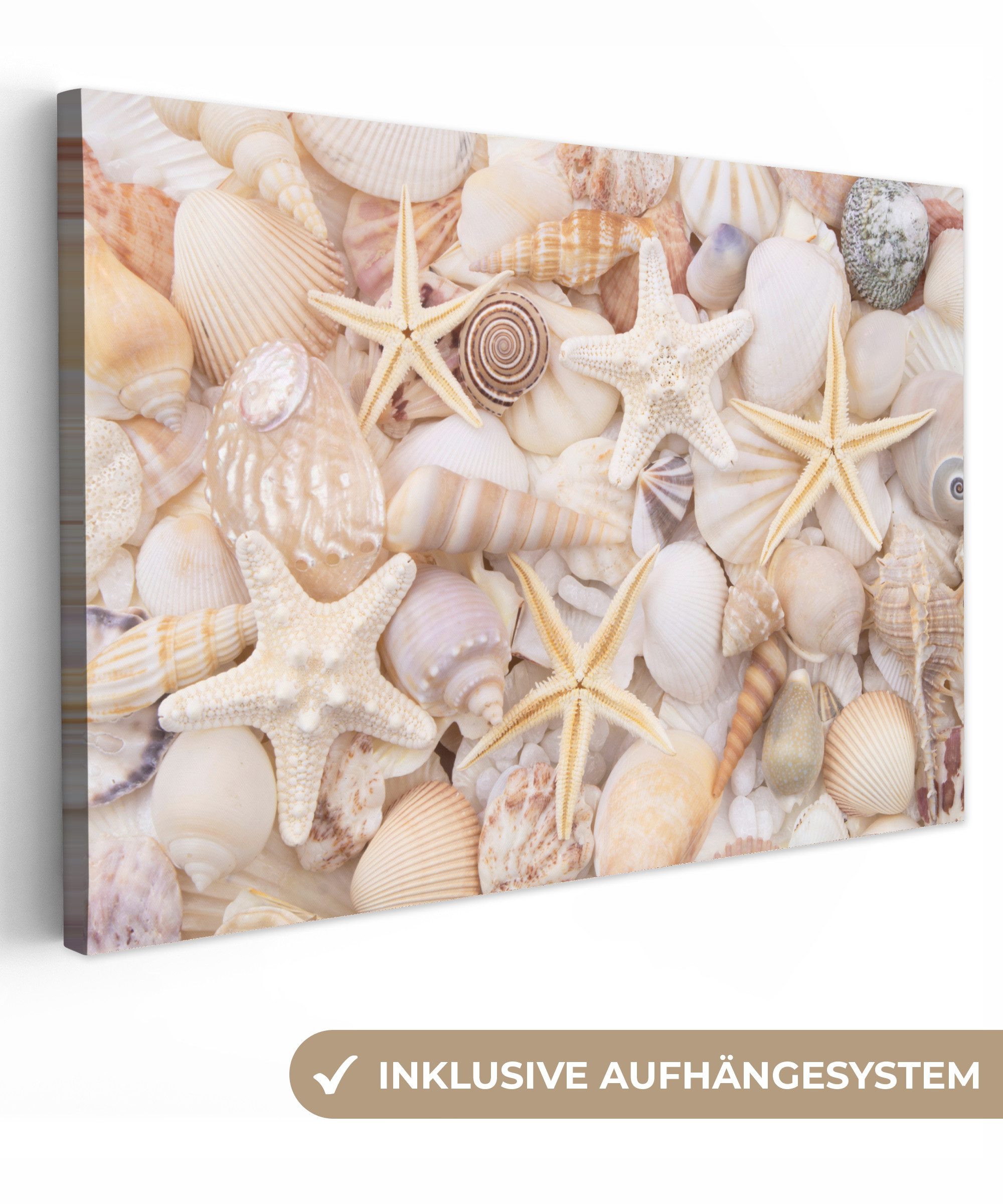 OneMillionCanvasses® Leinwandbild Seestern - Muscheln - Strand - Sommer, Fotodruck (1 St), Leinwand Bilder Klein, Wand Dekoration Aesthetic 30x20 cm