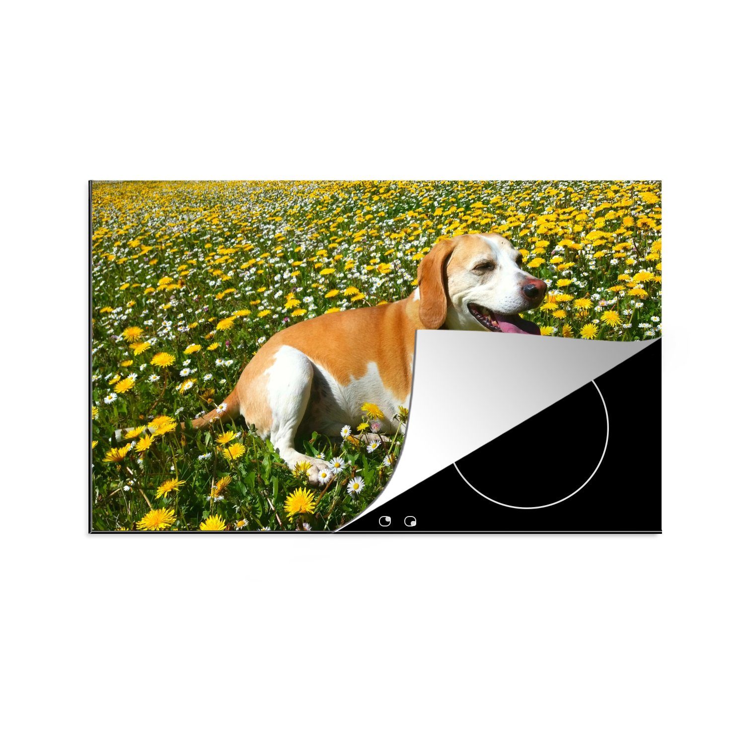 MuchoWow Herdblende-/Abdeckplatte Beagle liegt zwischen den gelben Blumen, Vinyl, (1 tlg), 83x51 cm, Ceranfeldabdeckung, Arbeitsplatte für küche