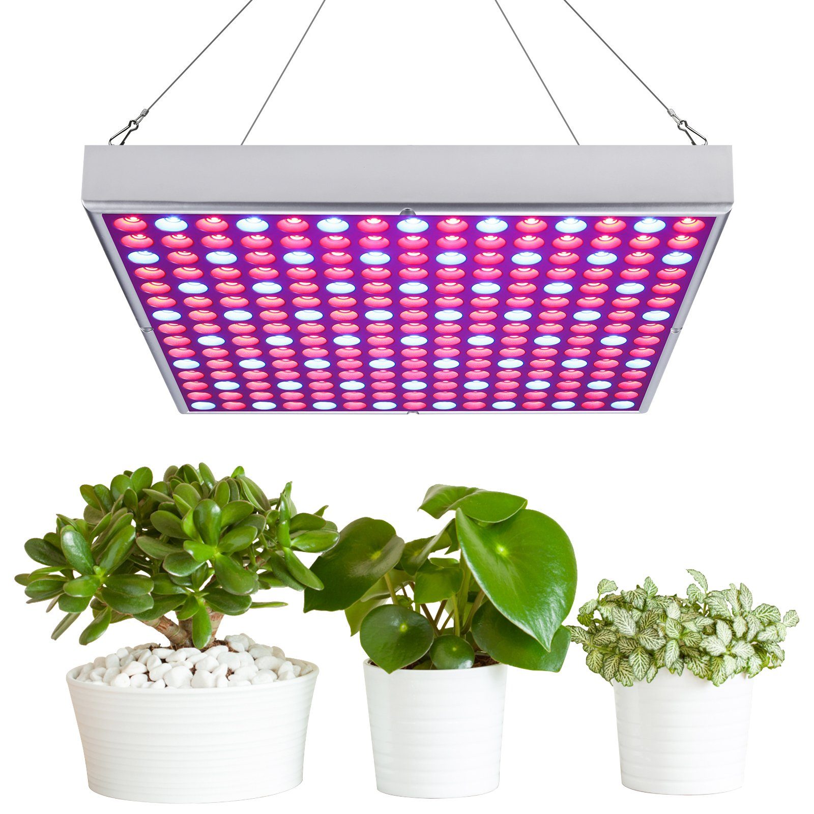 Lospitch Pflanzenlampe LED 15W Wachstumslicht für Zimmerpflanzen Vollspektrum, Gewächshaus Sukkulenten Blumen