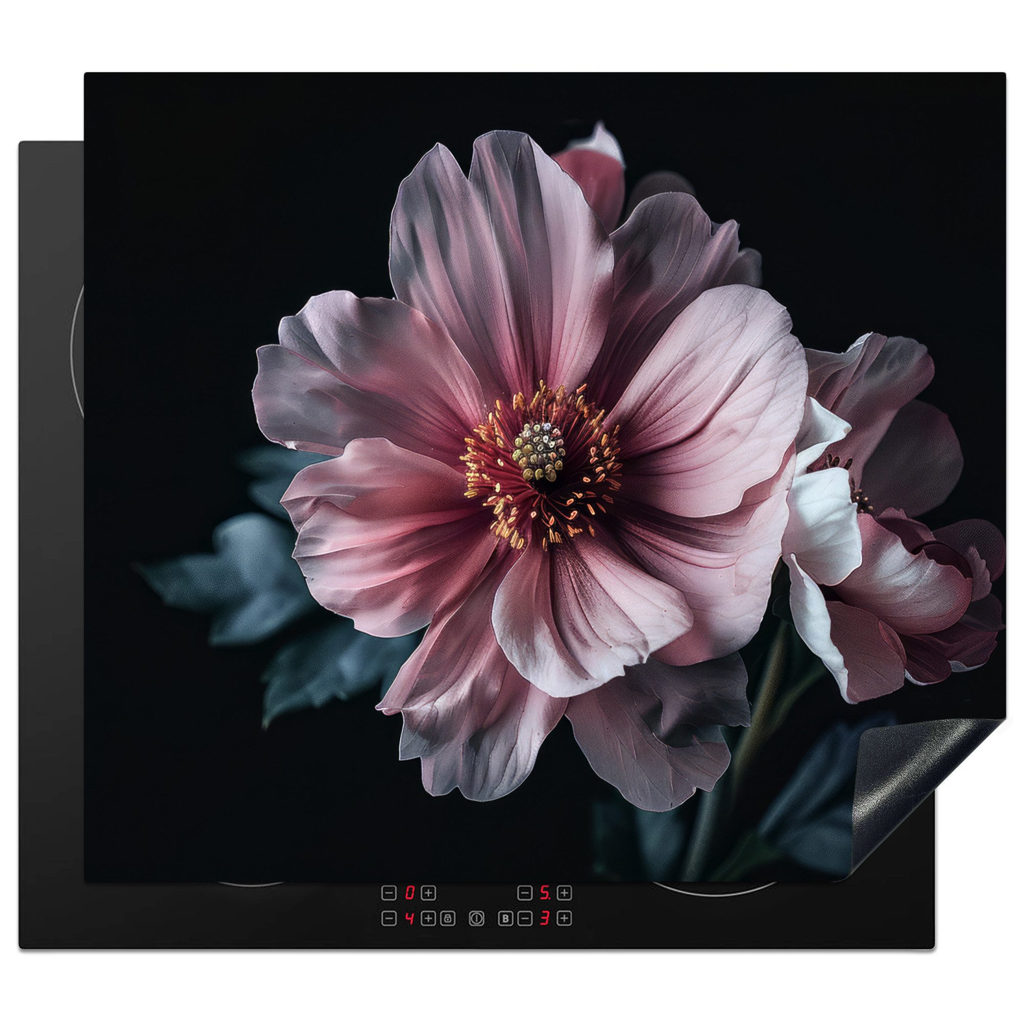 MuchoWow Herd-Abdeckplatte Blume - Rosa - Botanisch - Schwarz - Stillleben - Natur, Vinyl, (1 tlg), Cerankochfeld Abdeckung, Herd Abdeckplatten Vinyl, 58x51 cm