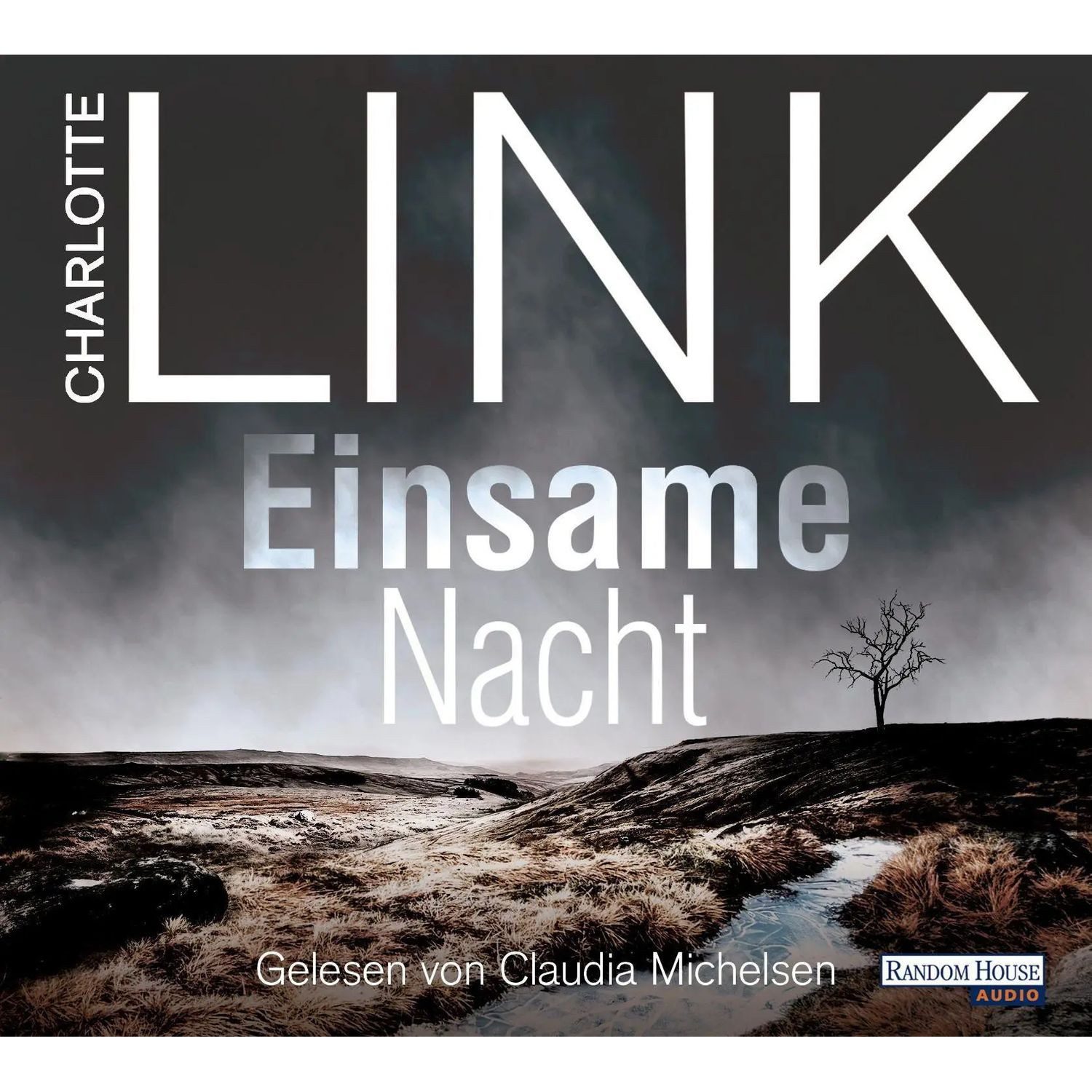 Random House Verlag Hörspiel Einsame Nacht