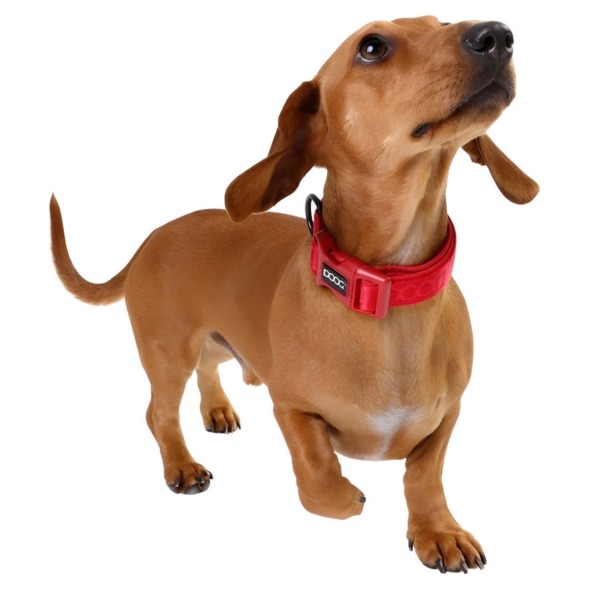 DOOG Hunde-Halsband Neosport Halsband rot
