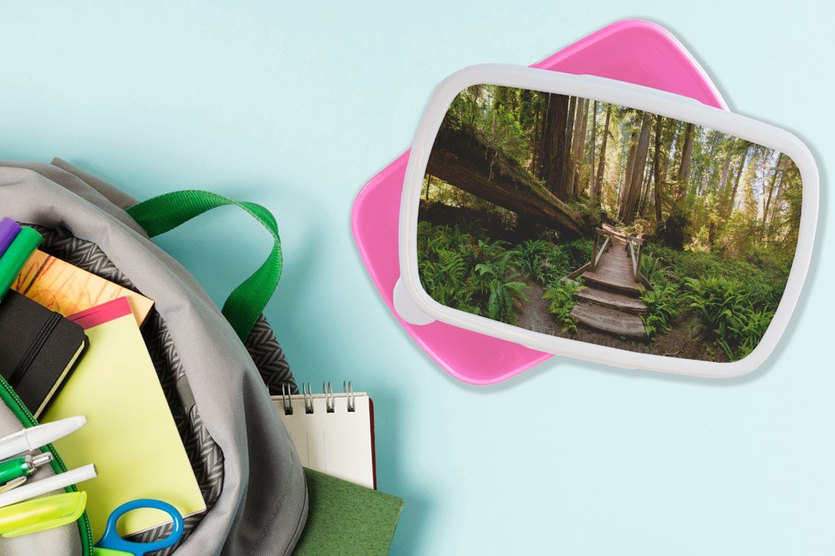 Snackbox, Treppe Natur Dschungel rosa - MuchoWow Erwachsene, (2-tlg), Mädchen, Brotbox - Kunststoff Kunststoff, Brotdose Lunchbox für Kinder, - Bäume,