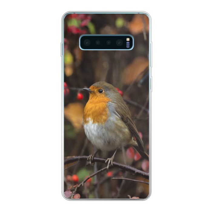 MuchoWow Handyhülle Äste - Rotkehlchen - Natur Phone Case Handyhülle Samsung Galaxy S10+ Silikon Schutzhülle