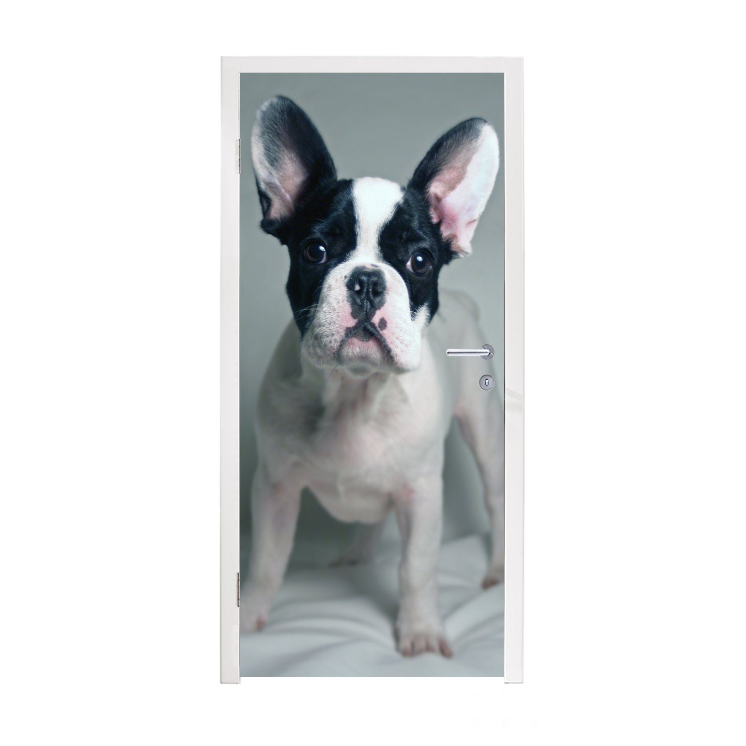 MuchoWow Türtapete Französische Bulldogge - Welpe - Weiß, Matt, bedruckt, (1 St), Fototapete für Tür, Türaufkleber, 75x205 cm