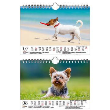 Seelenzauber Wandkalender Hundezauber Kleine Hunde DIN A5 Wandkalender für 2023 Welpen und klein