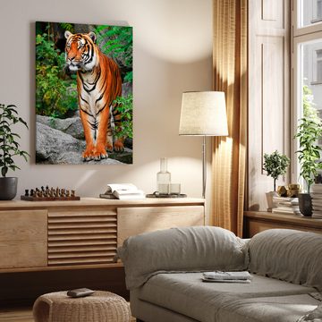 wandmotiv24 Leinwandbild Tiere, Hochformat, Tiger, Tiere (1 St), Wandbild, Wanddeko, Leinwandbilder in versch. Größen