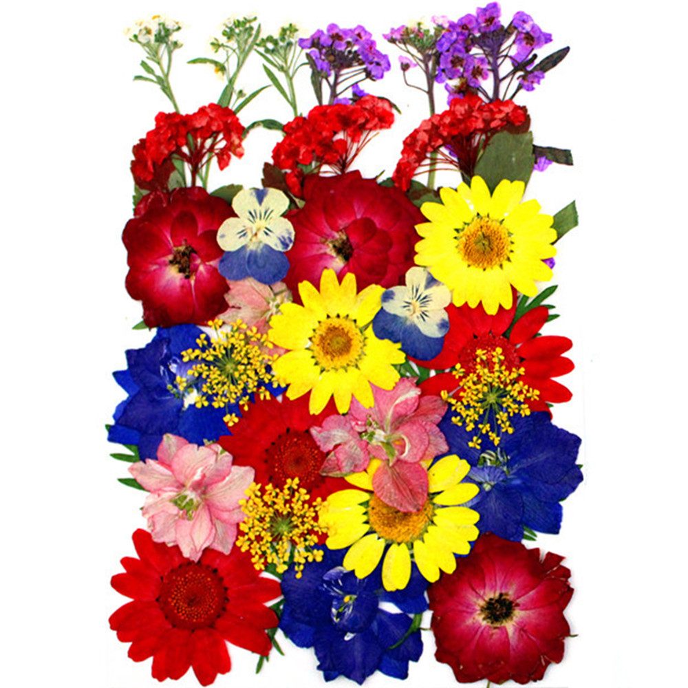 Trockenblume Gepresste Blumen, Getrocknete Blumen, DIY Getrocknete Blüten, Agger, für DIY Kerzen Harz Schmuck Anhänger …