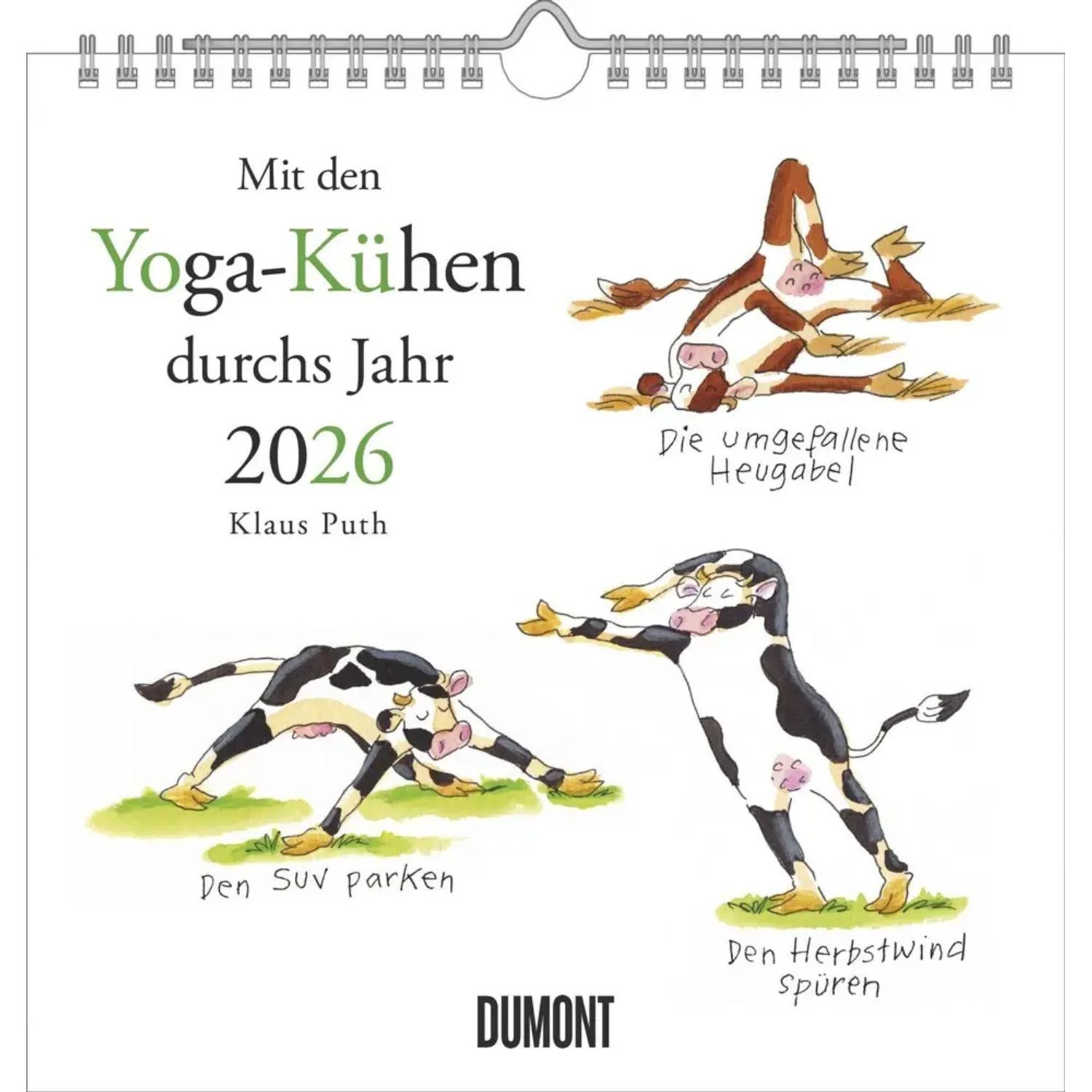 DUMONT Wandkalender DUMONT - Mit den Yoga-Kühen durchs Jahr 2026 - Wandkalender -...