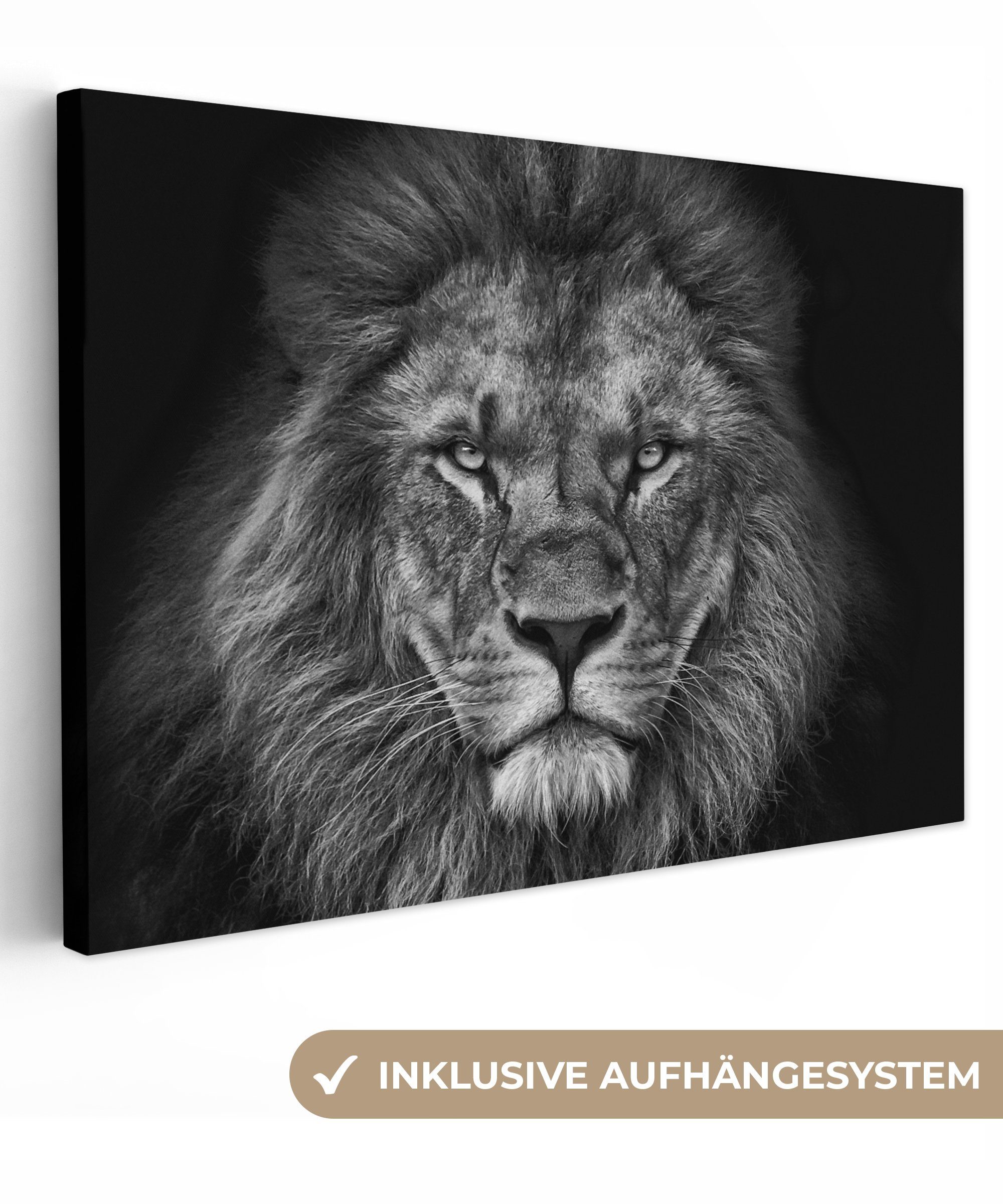 OneMillionCanvasses® Leinwandbild Löwe - Tiere - Schwarz - Weiß, (1 St), Wandbild für alle Wohnbereiche, Gemälde, XXL, großes, 120x80 cm
