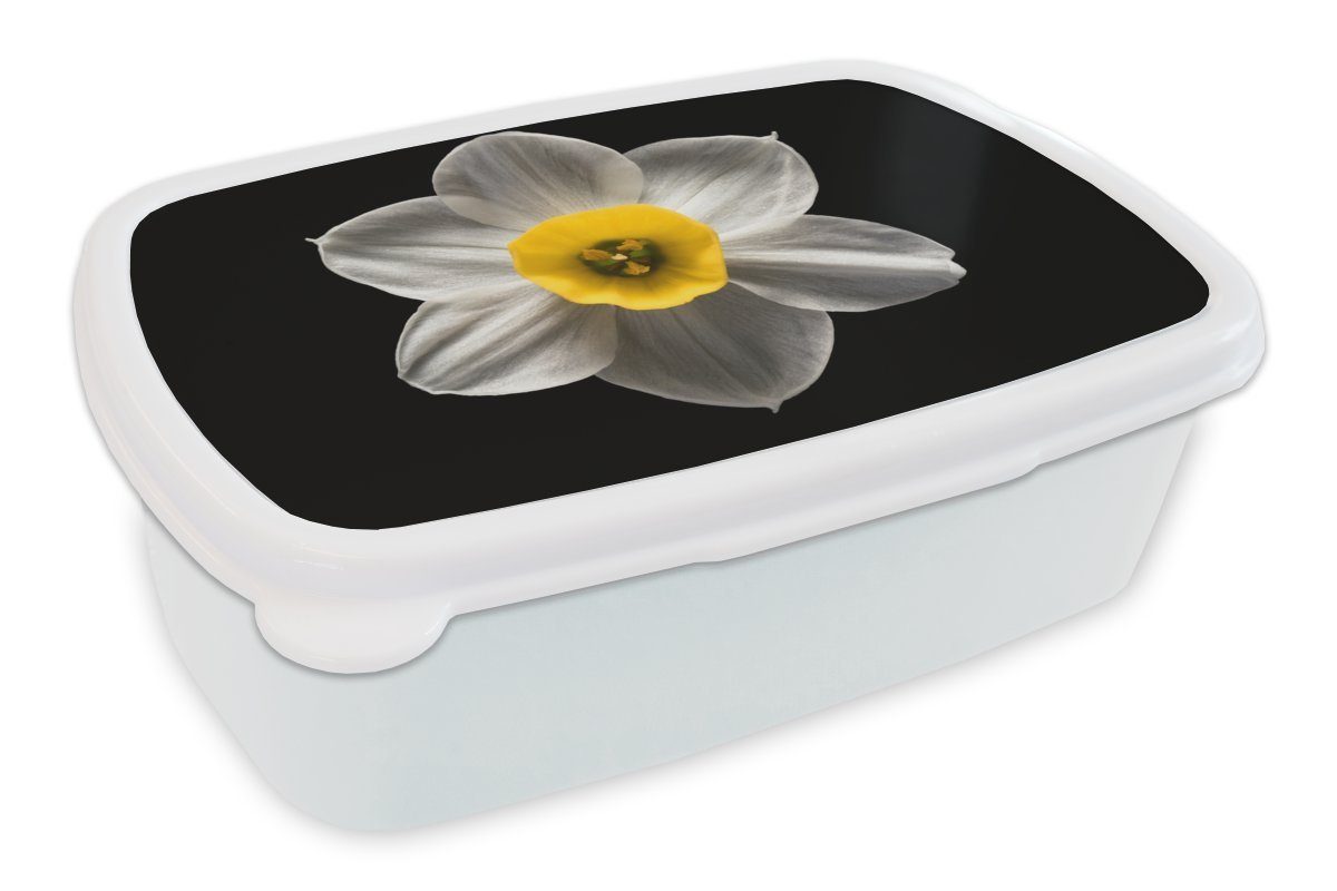 MuchoWow Lunchbox Eine weiße Narzissenblüte auf schwarzem Hintergrund, Kunststoff, (2-tlg), Brotbox für Kinder und Erwachsene, Brotdose, für Jungs und Mädchen