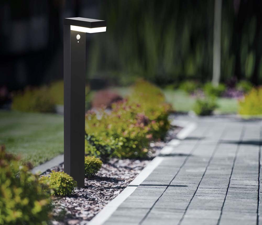 LED Standlampe Sensor Wegeleuchte H Solarleuchte 50 näve Außen-Stehlampe, IP44 Gartenleuchte