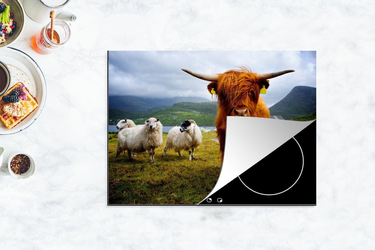- MuchoWow Arbeitsfläche - nutzbar, Ceranfeldabdeckung Kuh tlg), Schottland 70x52 (1 Vinyl, Schaf, cm, Mobile Herdblende-/Abdeckplatte