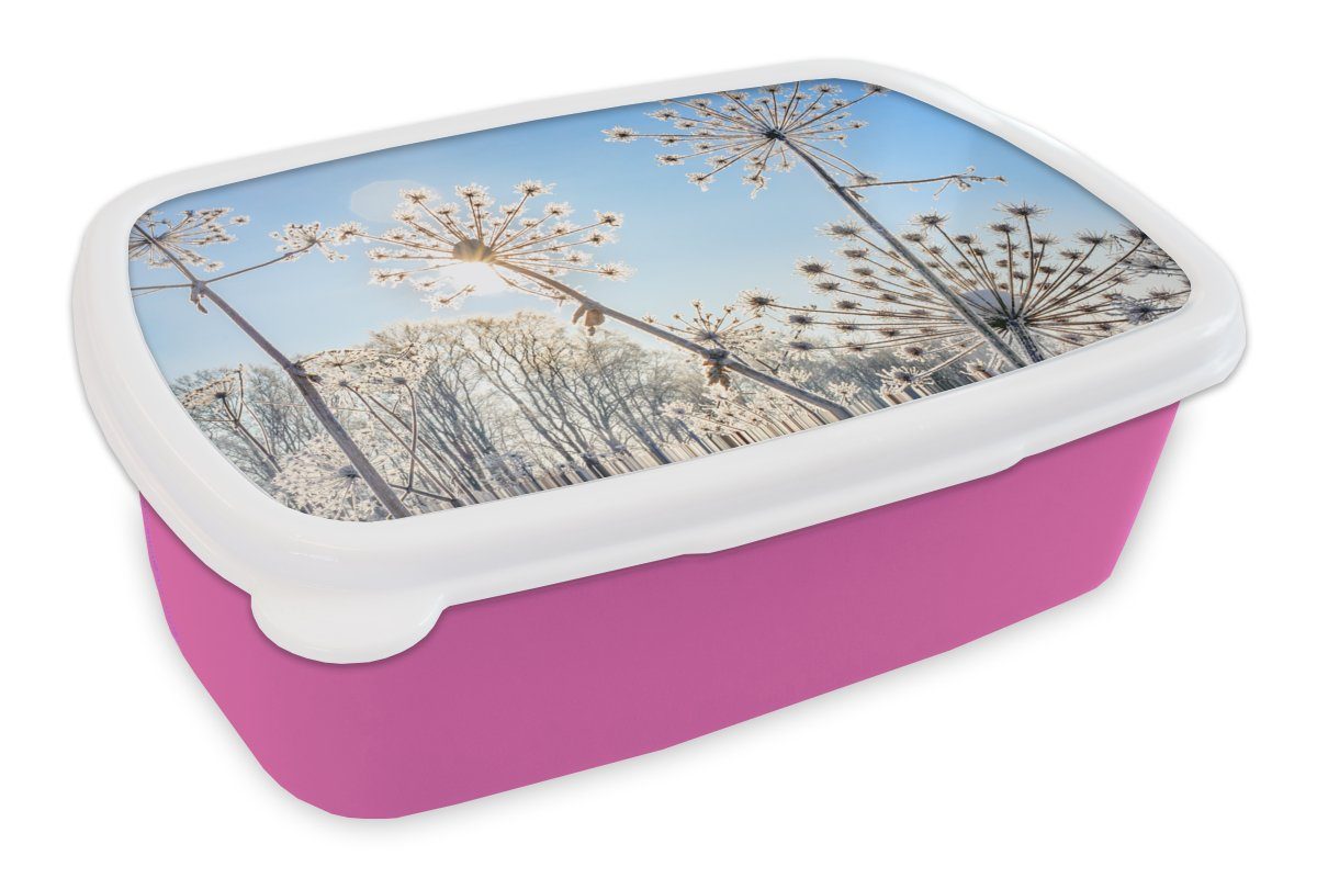 Stilleben, Brotdose - Mädchen, Erwachsene, rosa Kunststoff Kinder, (2-tlg), MuchoWow - Kunststoff, Pflanzen Brotbox Snackbox, für Schnee Lunchbox