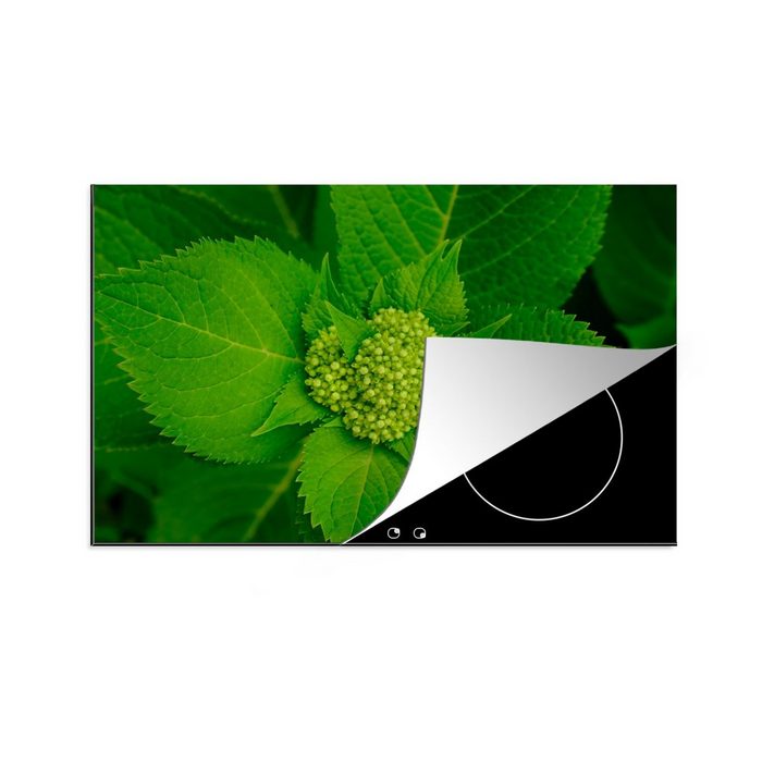 MuchoWow Herdblende-/Abdeckplatte Foto der botanischen Hortensienpflanze Vinyl (1 tlg) induktionskochfeld Schutz für die küche Ceranfeldabdeckung