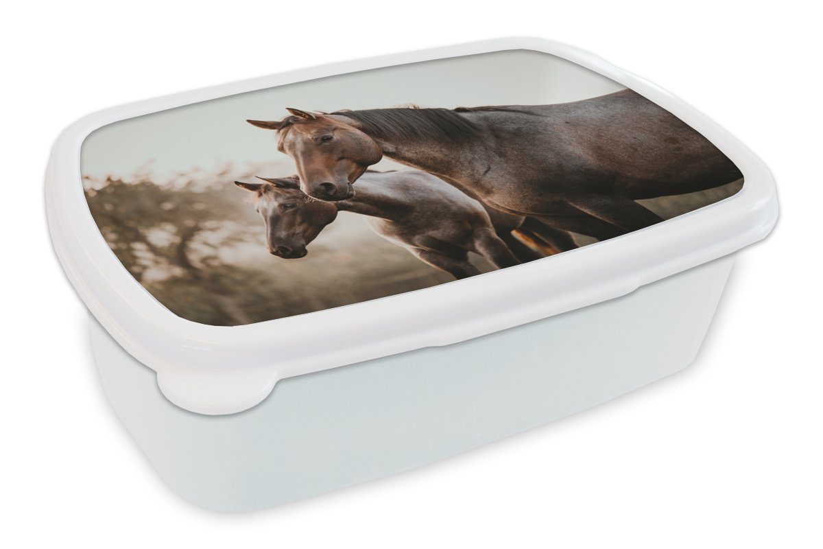 Kinder Jungs Lunchbox Braun, MuchoWow und für und Kunststoff, Natur für Brotbox Erwachsene, Mädchen - weiß - Pferde (2-tlg), Brotdose,
