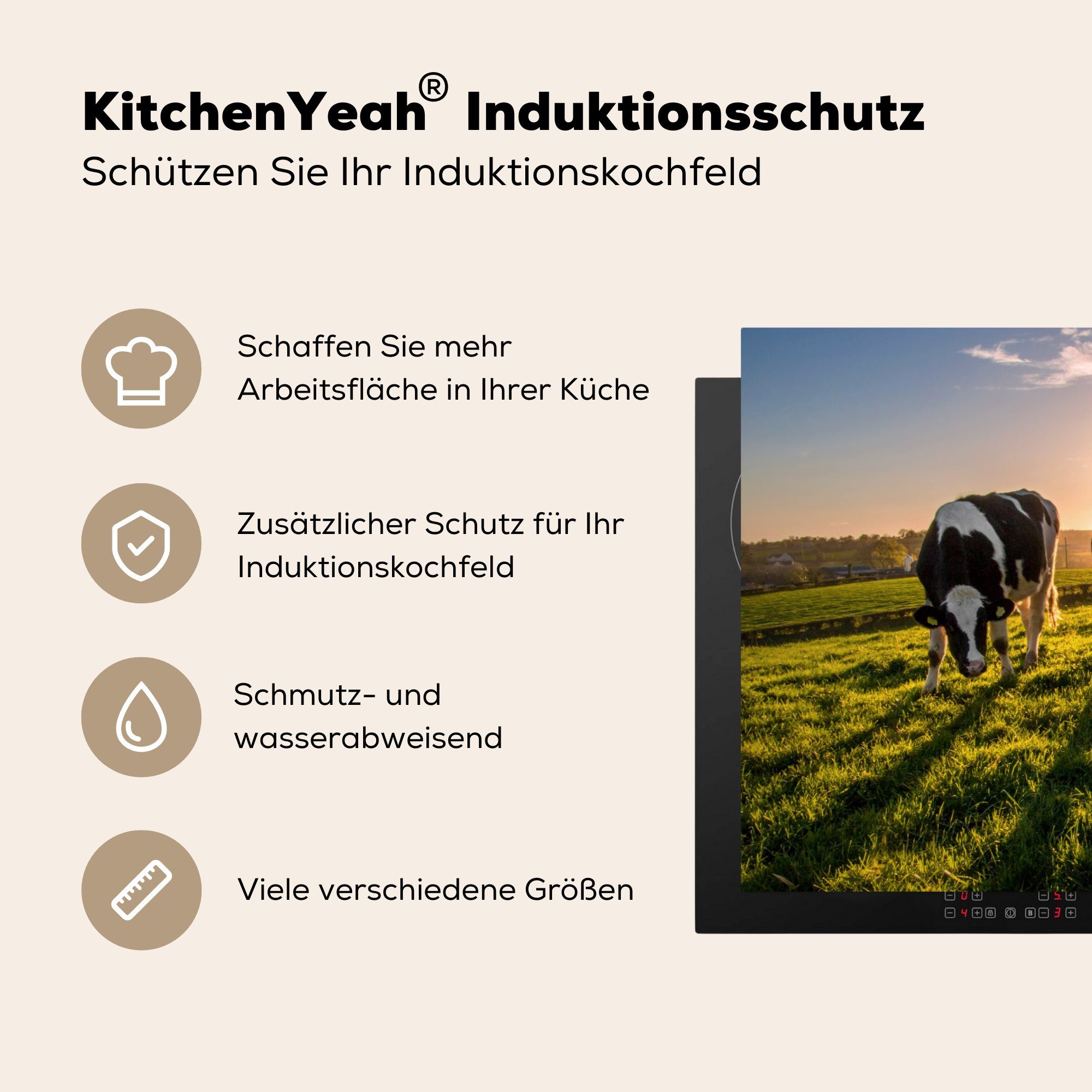 81x52 Bauernhof, für Schutz Induktionskochfeld - - - Tiere (1 Sonne - Gras tlg), Vinyl, MuchoWow Kühe küche, die Herdblende-/Abdeckplatte cm, Ceranfeldabdeckung