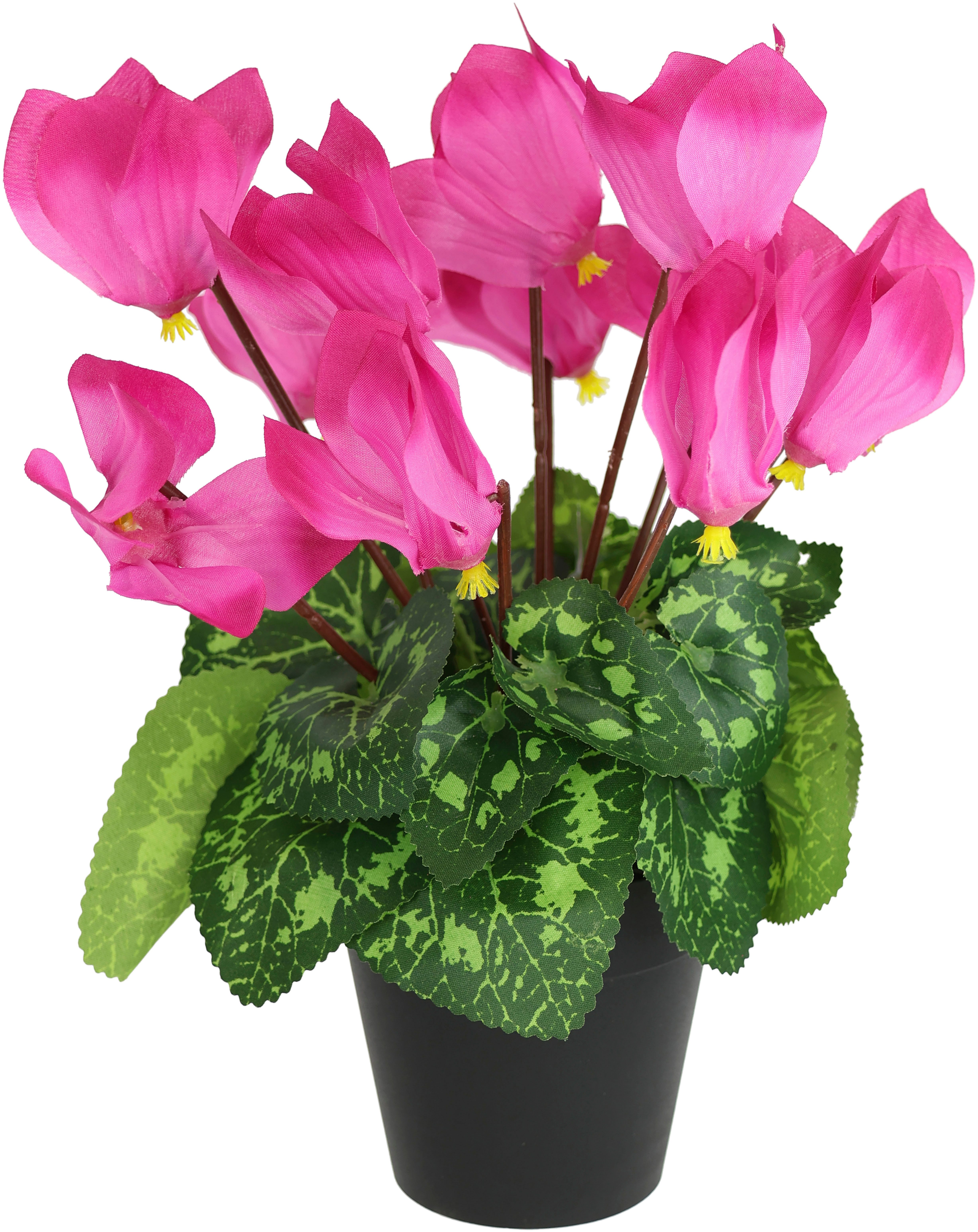 Kunstblume Alpenveilchen im Topf, I.GE.A., Höhe 28 cm, Künstliche Blume Dekopflanze Kunstpflanze Pflanze Primeln Seidenblume