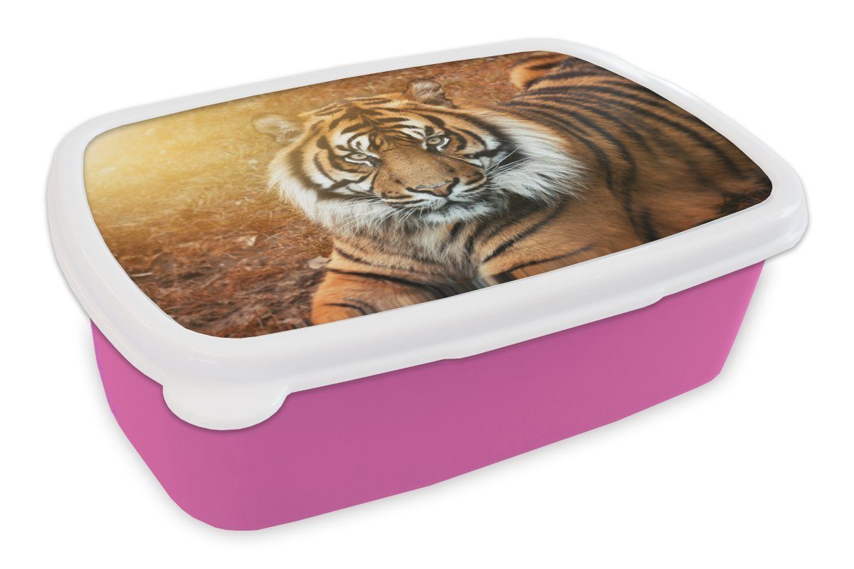 MuchoWow Lunchbox Porträt - Tiger - Sonne, Kunststoff, (2-tlg), Brotbox für Erwachsene, Brotdose Kinder, Snackbox, Mädchen, Kunststoff rosa