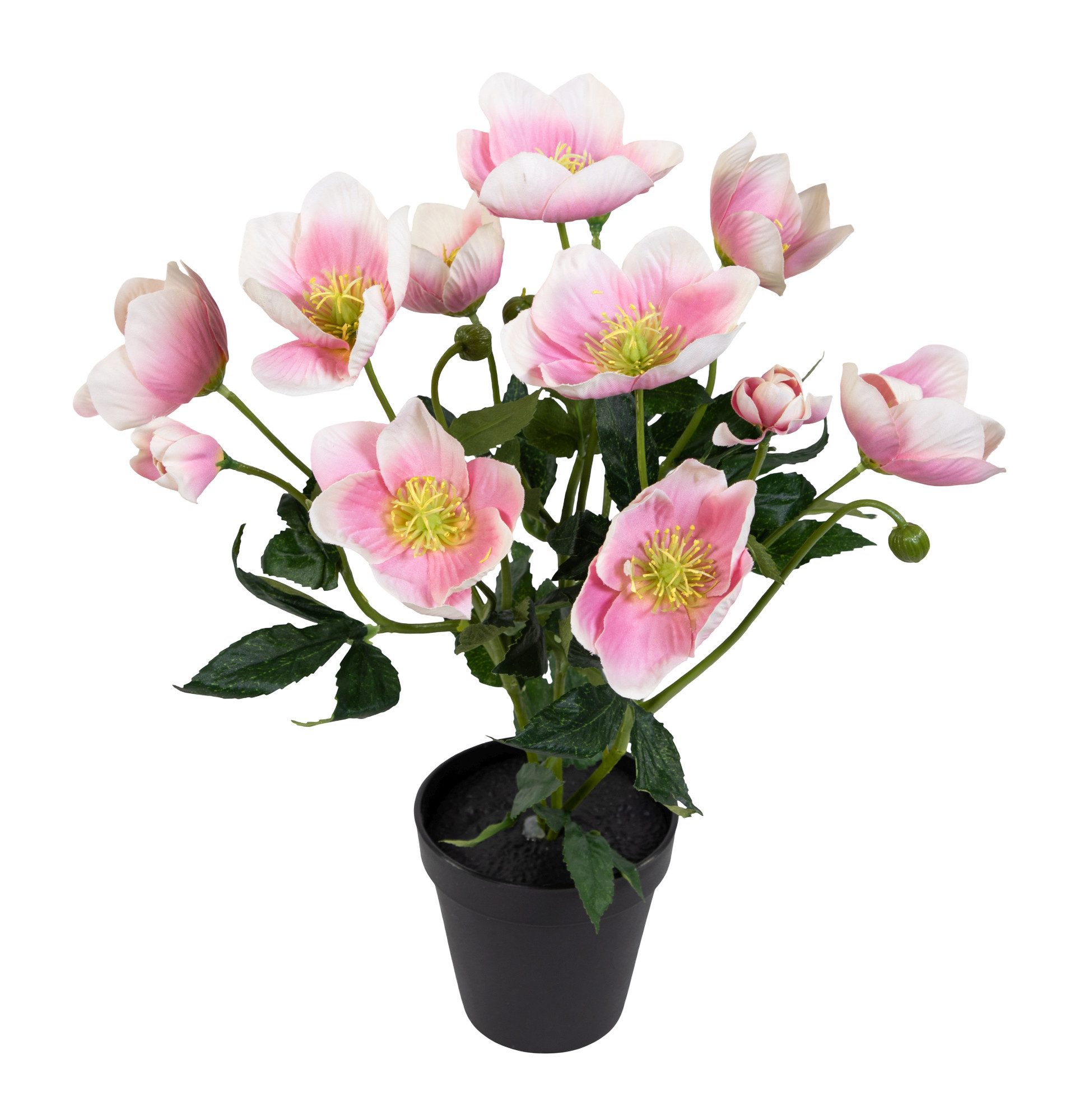 Kunstblume Christrosenbusch im Topf PM Kunstpflanzen künstliche Blumen Christrose Helleborus, Seidenblumen Roß, Höhe 36 cm, Farbe: Hellrosa