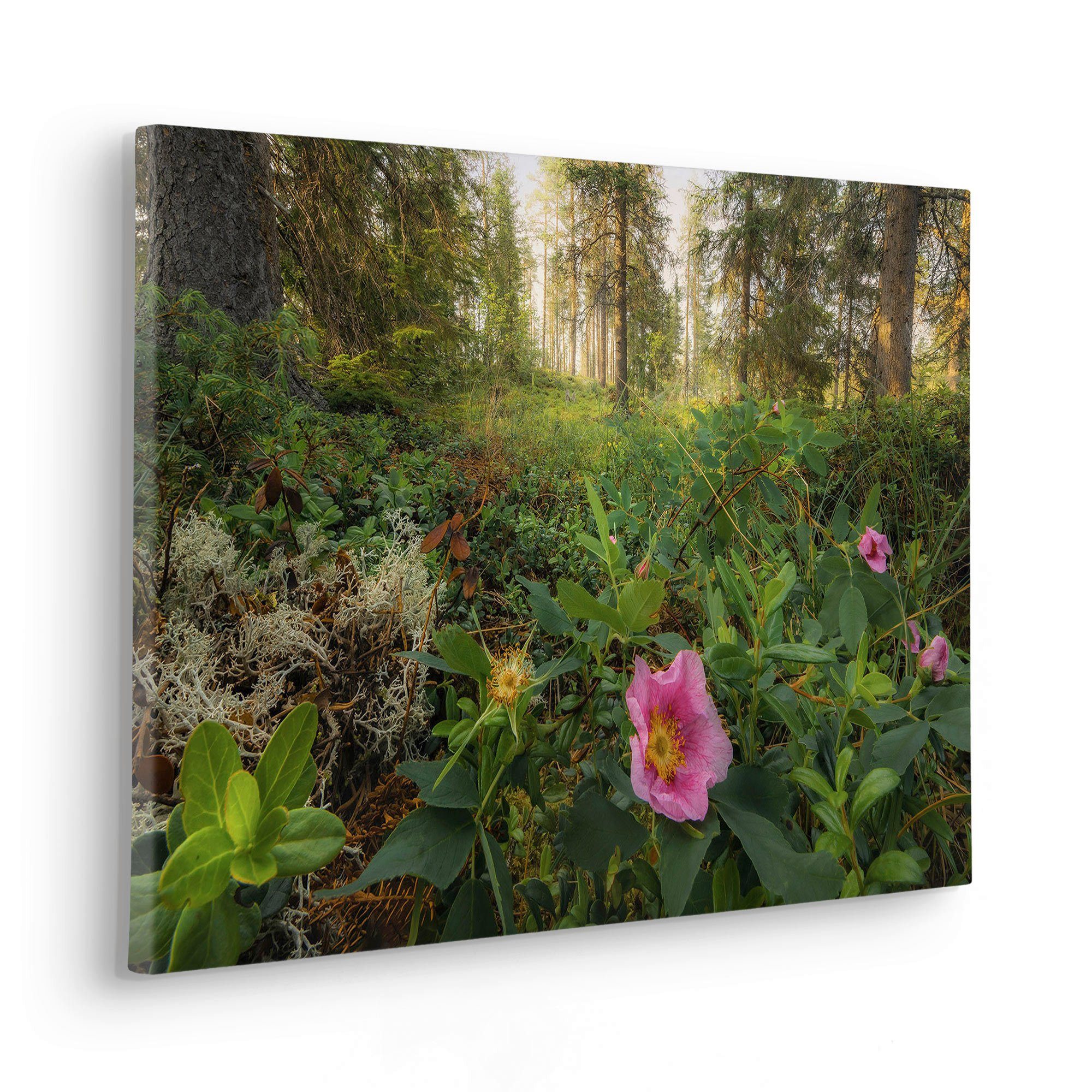 Komar Leinwandbild Charming Woods - Размер 60 x 40 cm, Baum, Berge, Blumen, Blätter, Foto, Jahreszeiten, Landschaft, Meer, Natur, Palmen, Strand (Packung, 1 St), Keilrahmenbild mi Echtholzrahmen