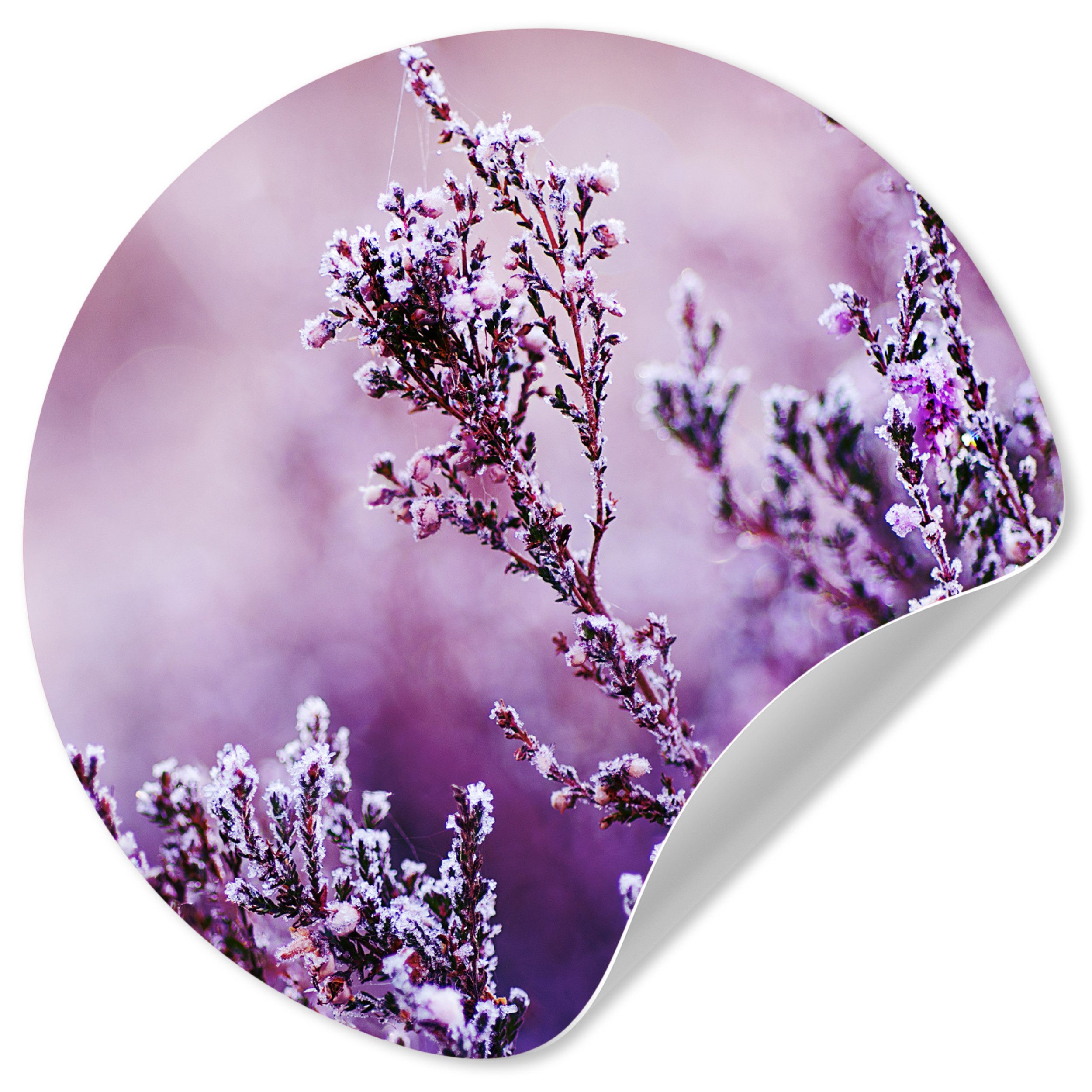 MuchoWow Wandsticker Lavendel - Winter - Blumen - Lila (1 St), Wandtattoo Selbstklebend, Wohnzimmer Deko Aufkleber, 30x30 cm
