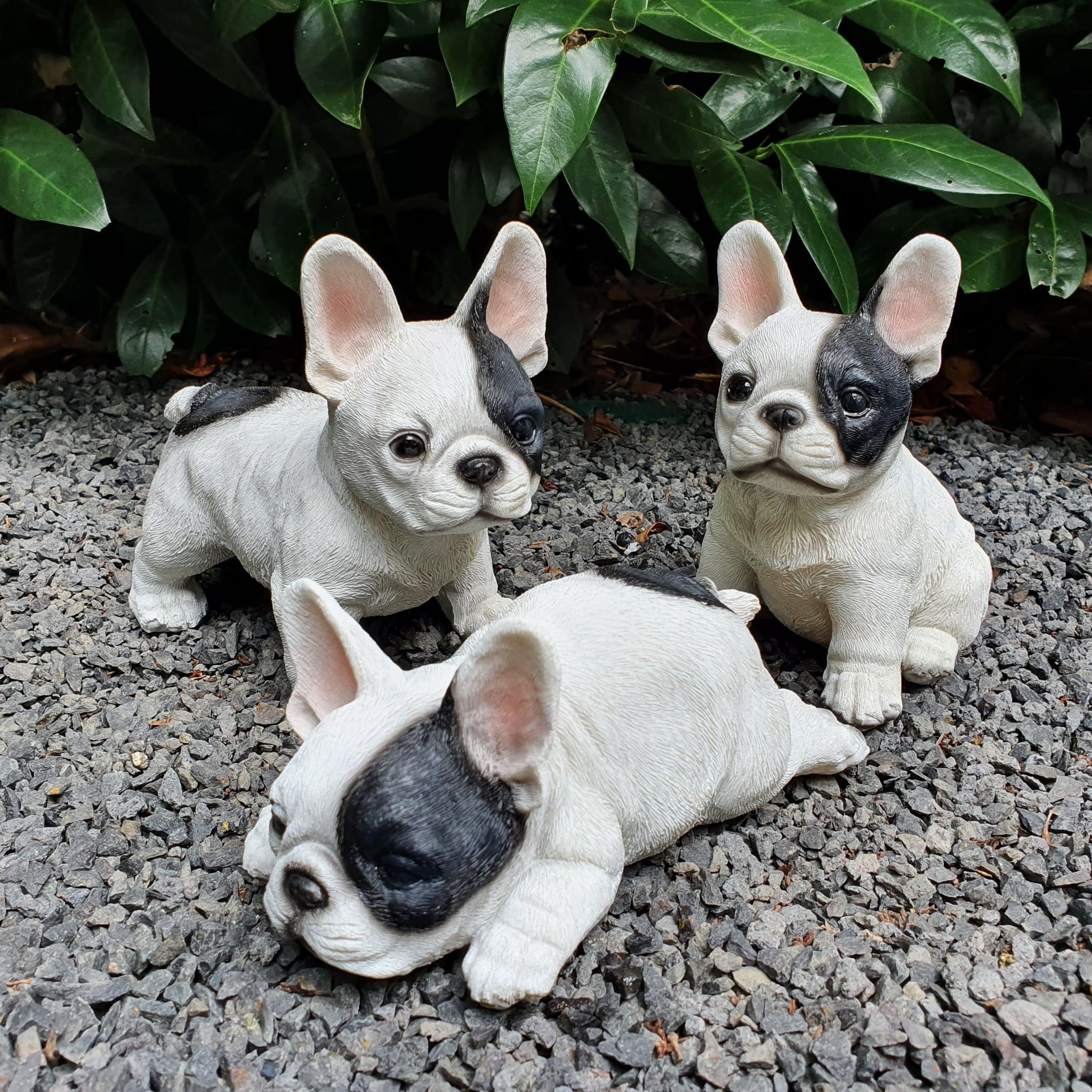 Aspinaworld Gartenfigur Französische Bulldogge Welpen Figur 3er Set 13 cm wetterfest