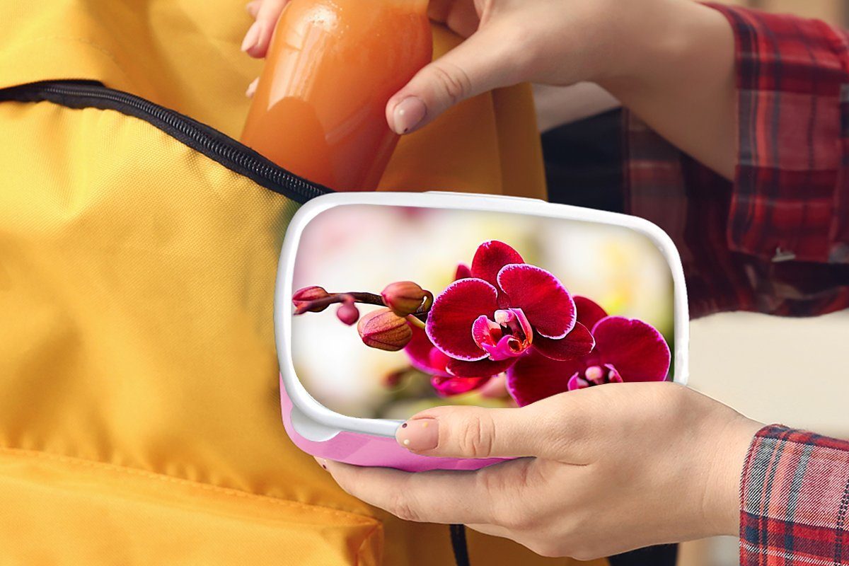 (2-tlg), roten vor von Brotbox unscharfen Kinder, MuchoWow Snackbox, Kunststoff, Brotdose für Lunchbox Kunststoff Hintergrund, rosa einem Mädchen, Erwachsene, Nahaufnahme Orchideen