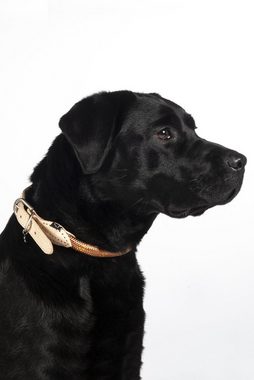 HKM Dogs Hunde-Halsband Hundehalsband -Anam Cara- Tau, 100% Nylon, Echtleder-Besätze