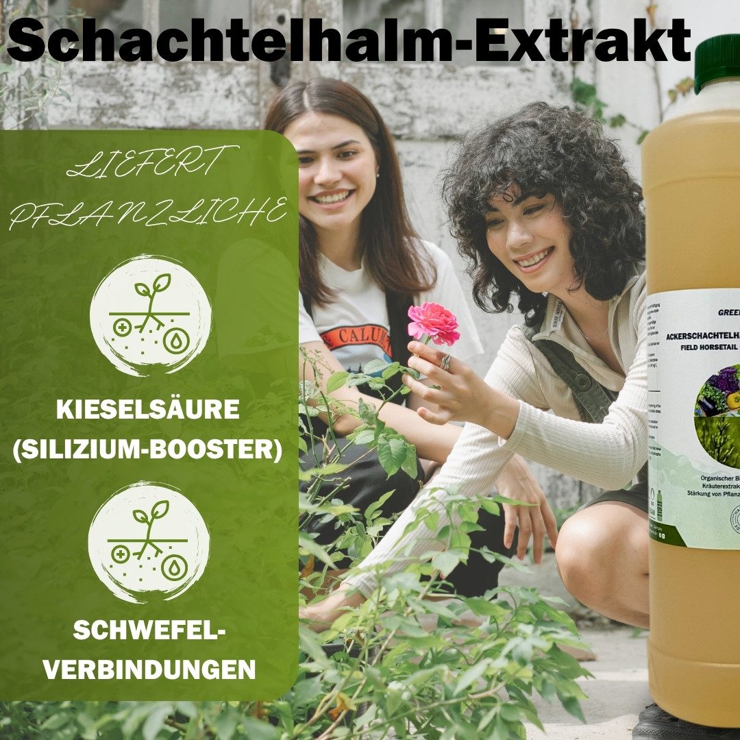 GreenPanda Pflanzenstärkungsmittel Acker-Schachtelhalm Jauche/Sud - Bio Dünger, Kanister, 1-St., 3 Liter Naturdünger! – Bild 4 von 5