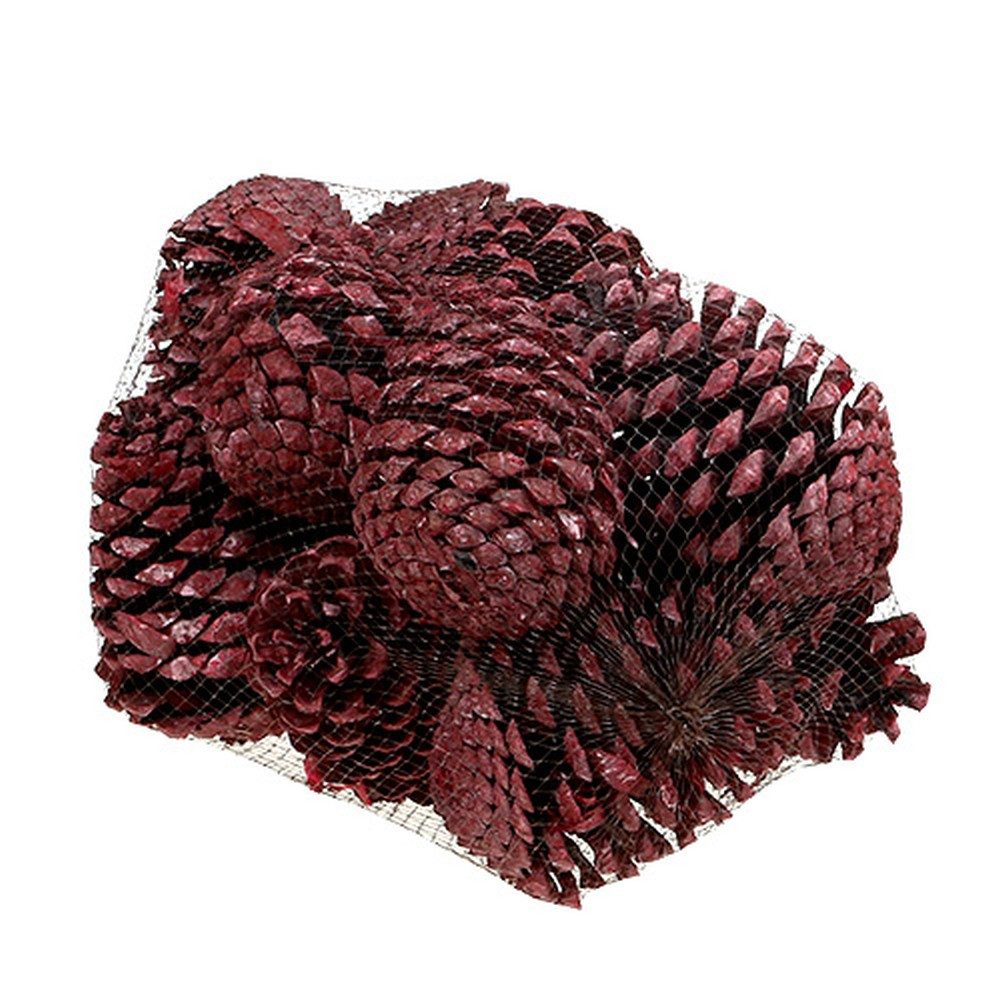 Trockenblume Maritima Zapfen Rot gefrostet 10-15cm - Deko, Basteln, 12 Stück, Viana, Höhe 15 cm