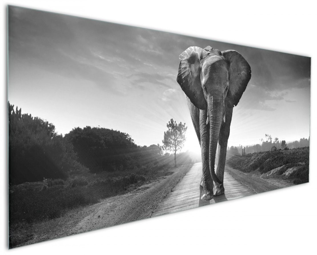 Wallario Küchenrückwand Elefant bei Sonnenaufgang in Afrika schwarzweiß, (1-tlg) | Küchenrückwände
