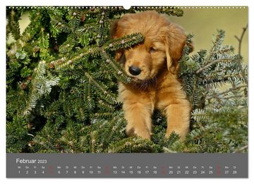 CALVENDO Wandkalender Chesley Kleiner Hund grosse Abenteuer (Premium, hochwertiger DIN A2 Wandkalender 2023, Kunstdruck in Hochglanz)