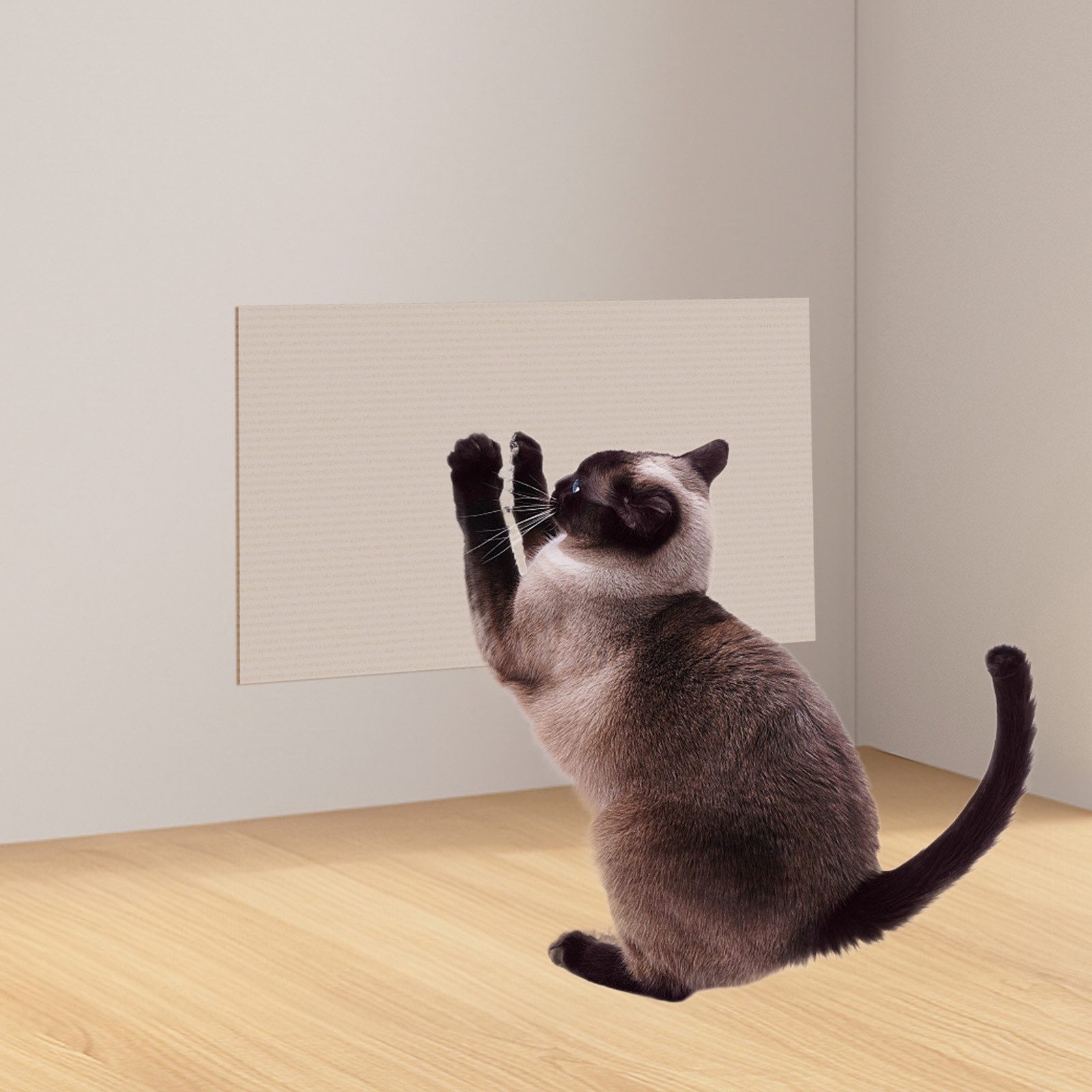 REDOM Kratzmatte Kratzteppich selbsthaftend Katze Wand, günstig online kaufen