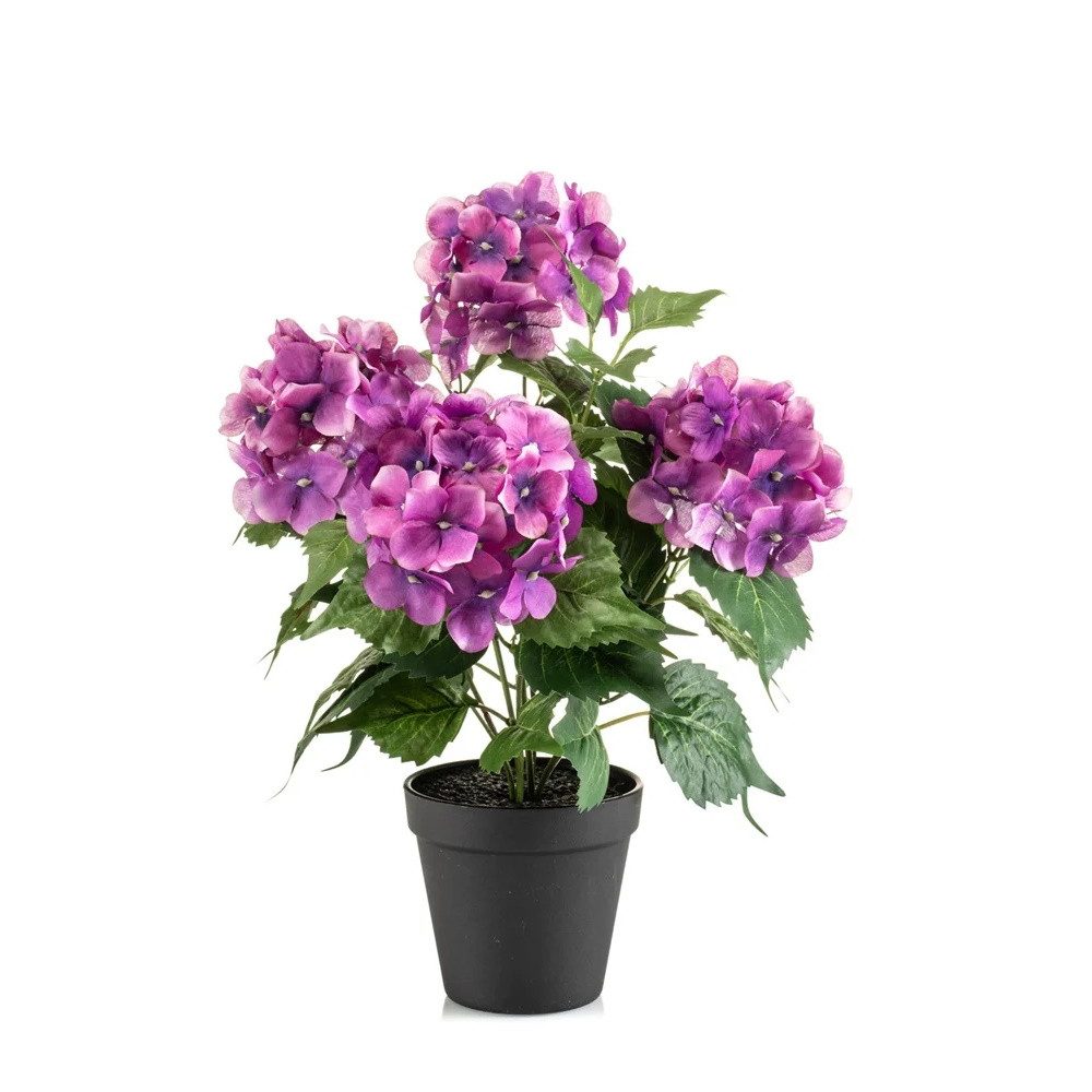 Künstliche Zimmerpflanze, Emerald, Höhe 38 cm günstig online kaufen