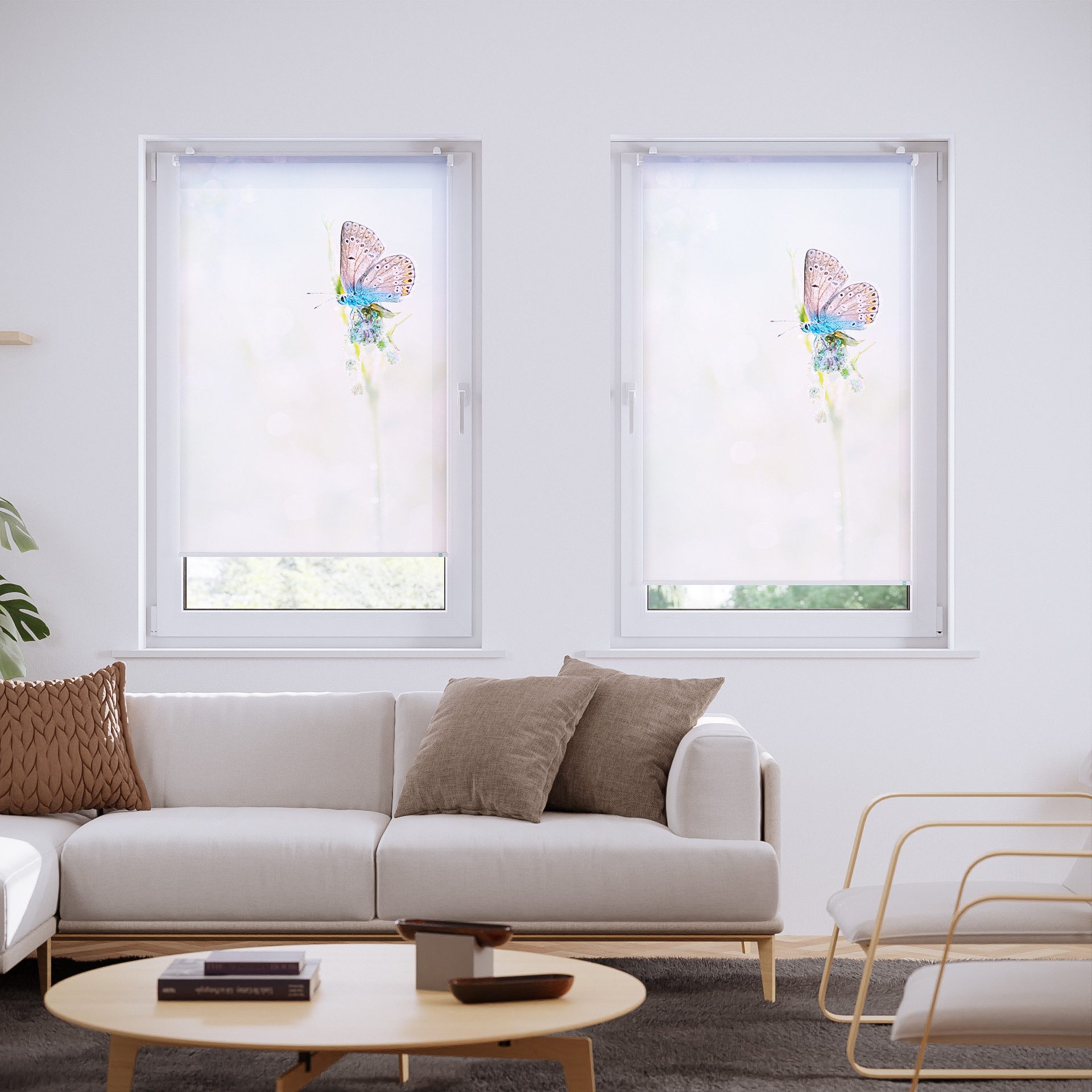 Rollo Rollo, Roomy, Klemmbar, Anschraubbar, Klemmbar, Anschraubbar