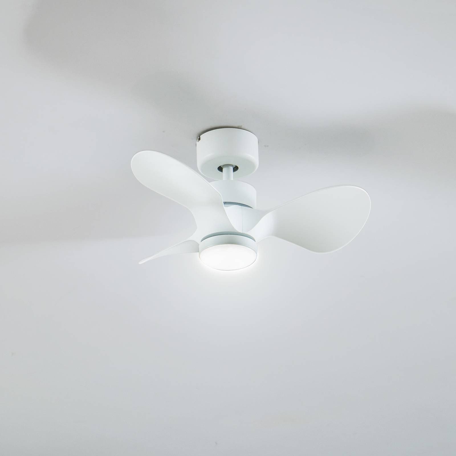 Lindby Deckenventilator Enon