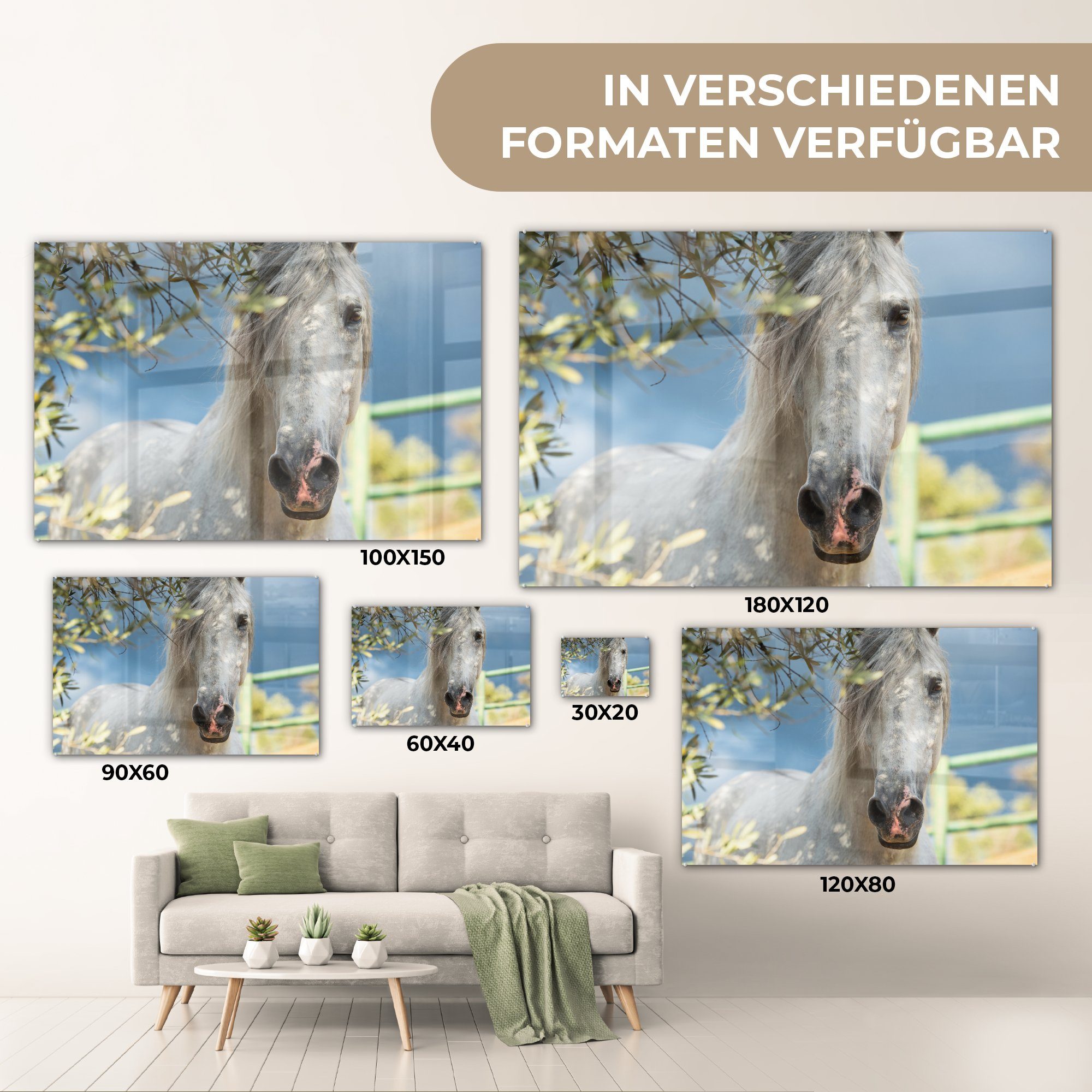 MuchoWow Acrylglasbild Pferde - Laub Zaun, Schlafzimmer Acrylglasbilder (1 - Wohnzimmer & St)