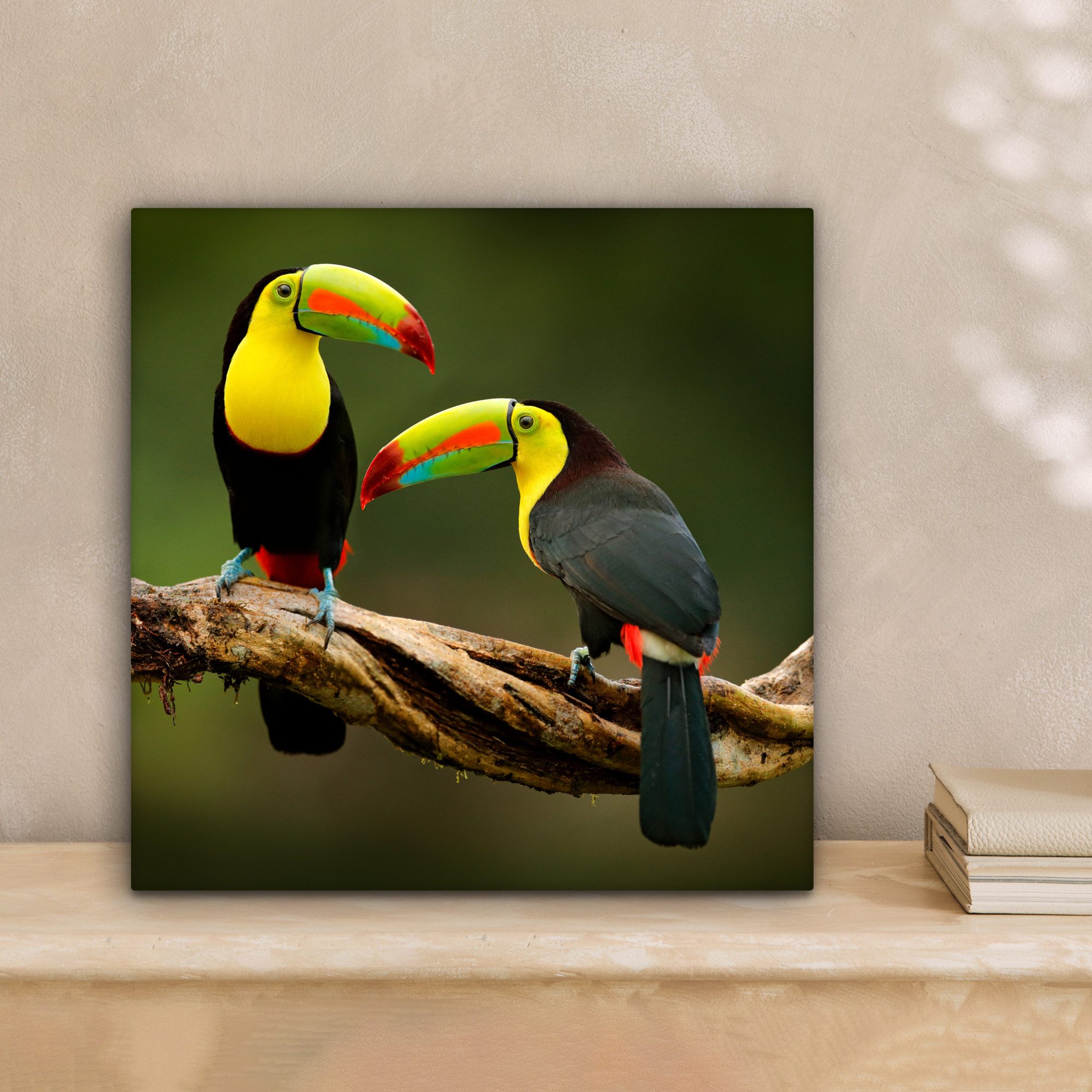 OneMillionCanvasses® Leinwandbild Vögel - Tukan - günstig online kaufen